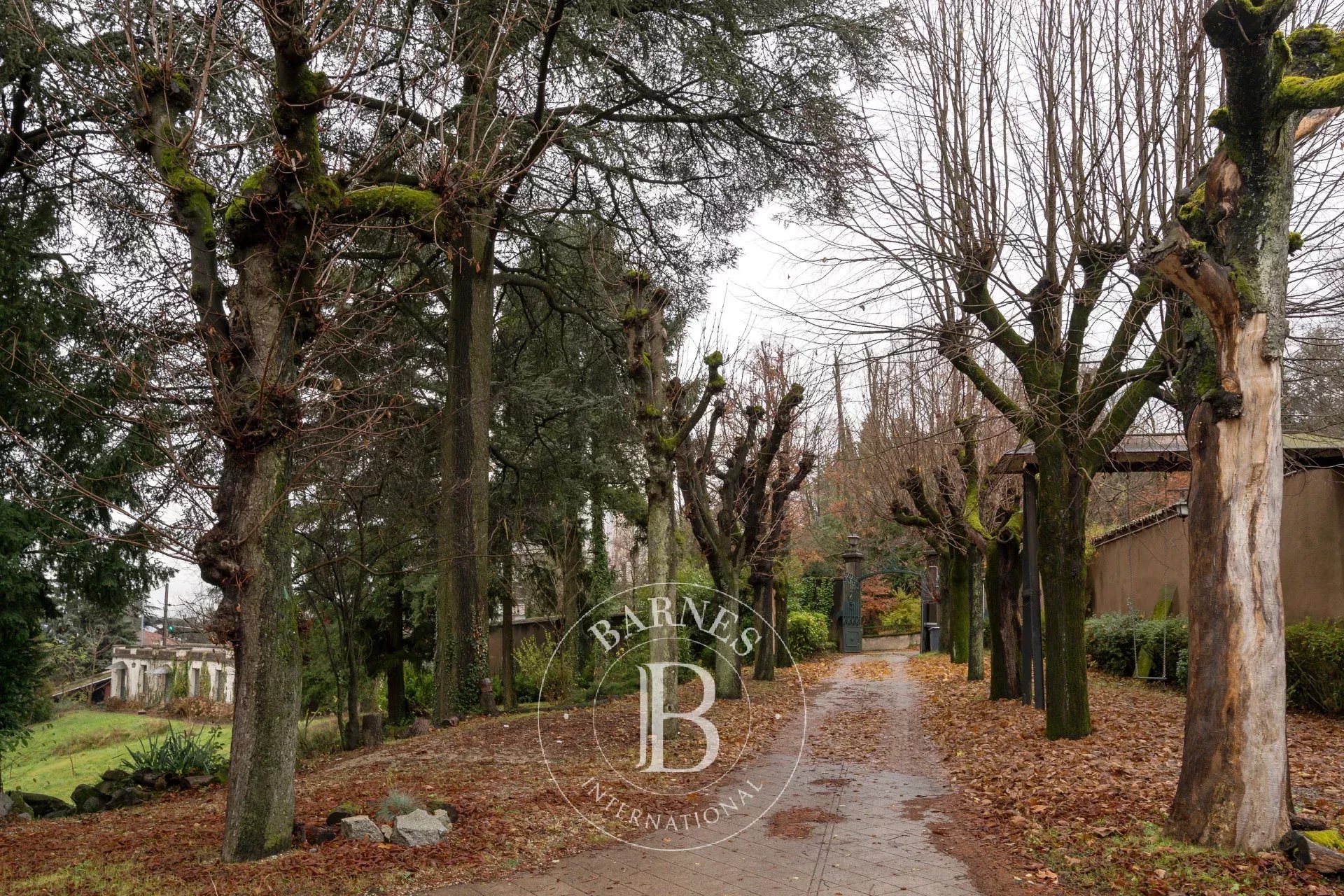 Ev Sainte-Foy-lès-Lyon - picture 14