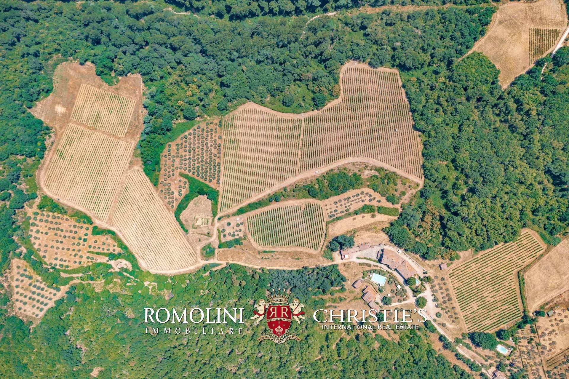 21 Bedroom Vineyard's Image 17