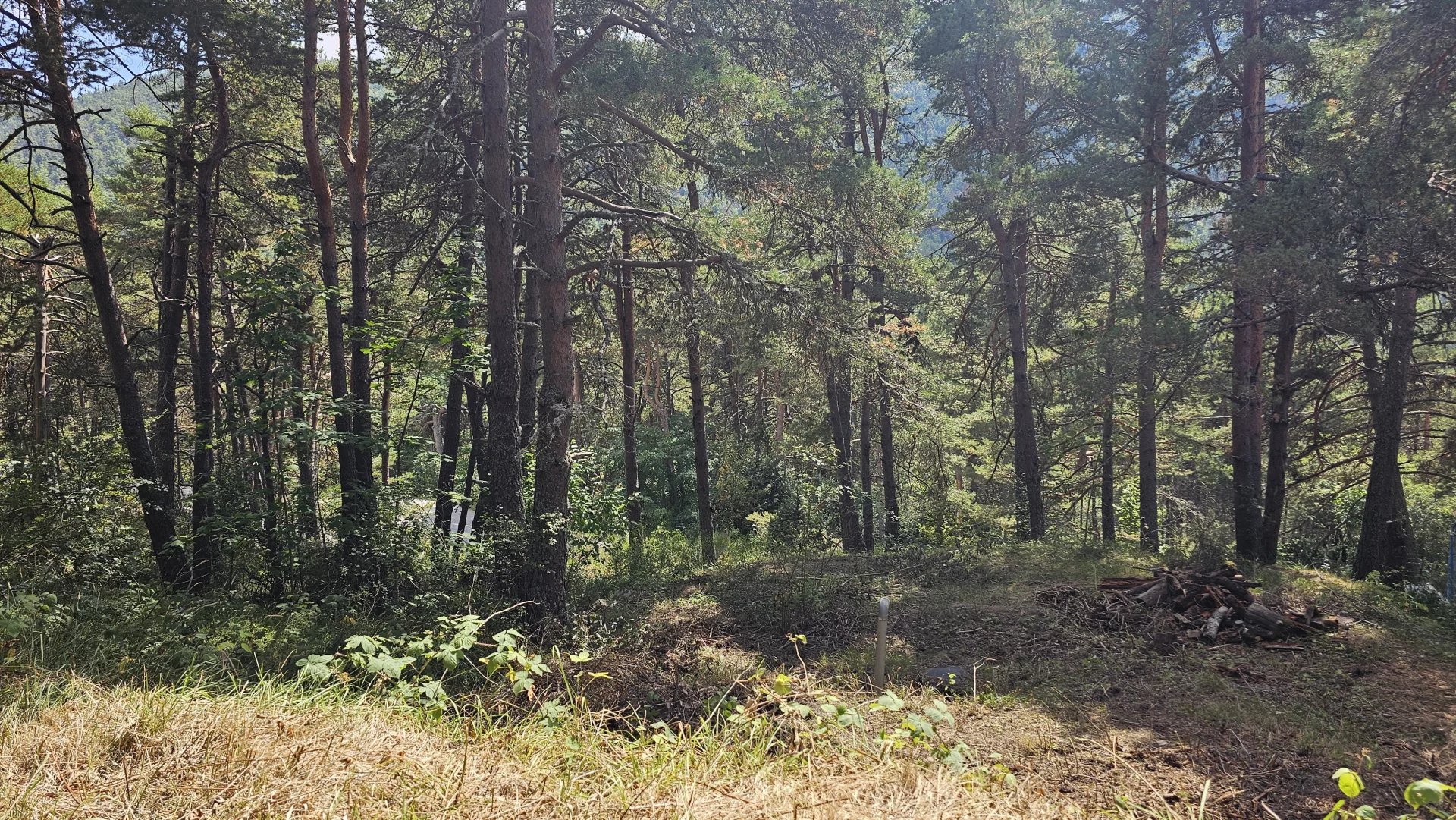 Terrain constructible de plus d'1 hectare vue dégagée