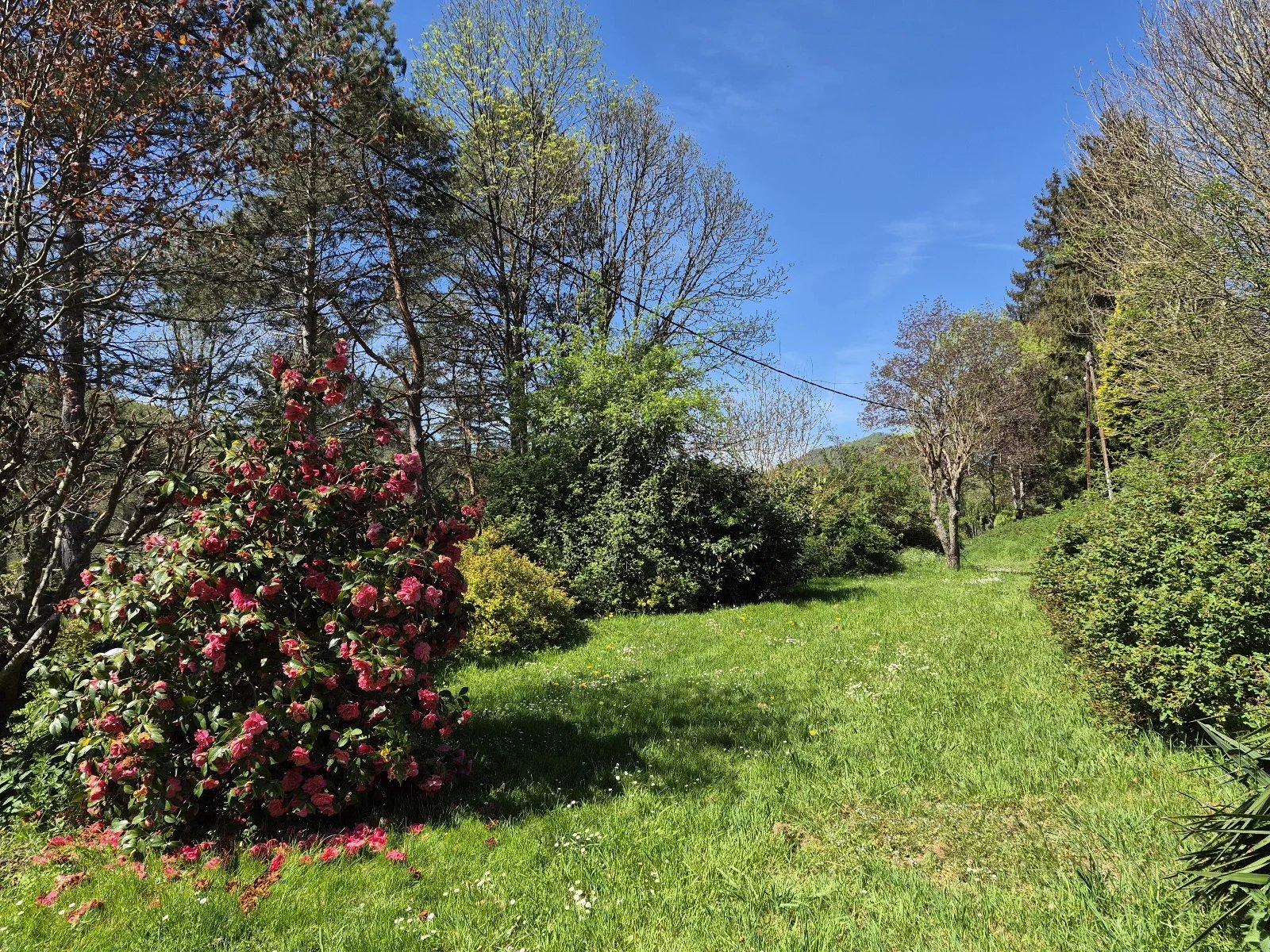House for sale Massat, Ariège