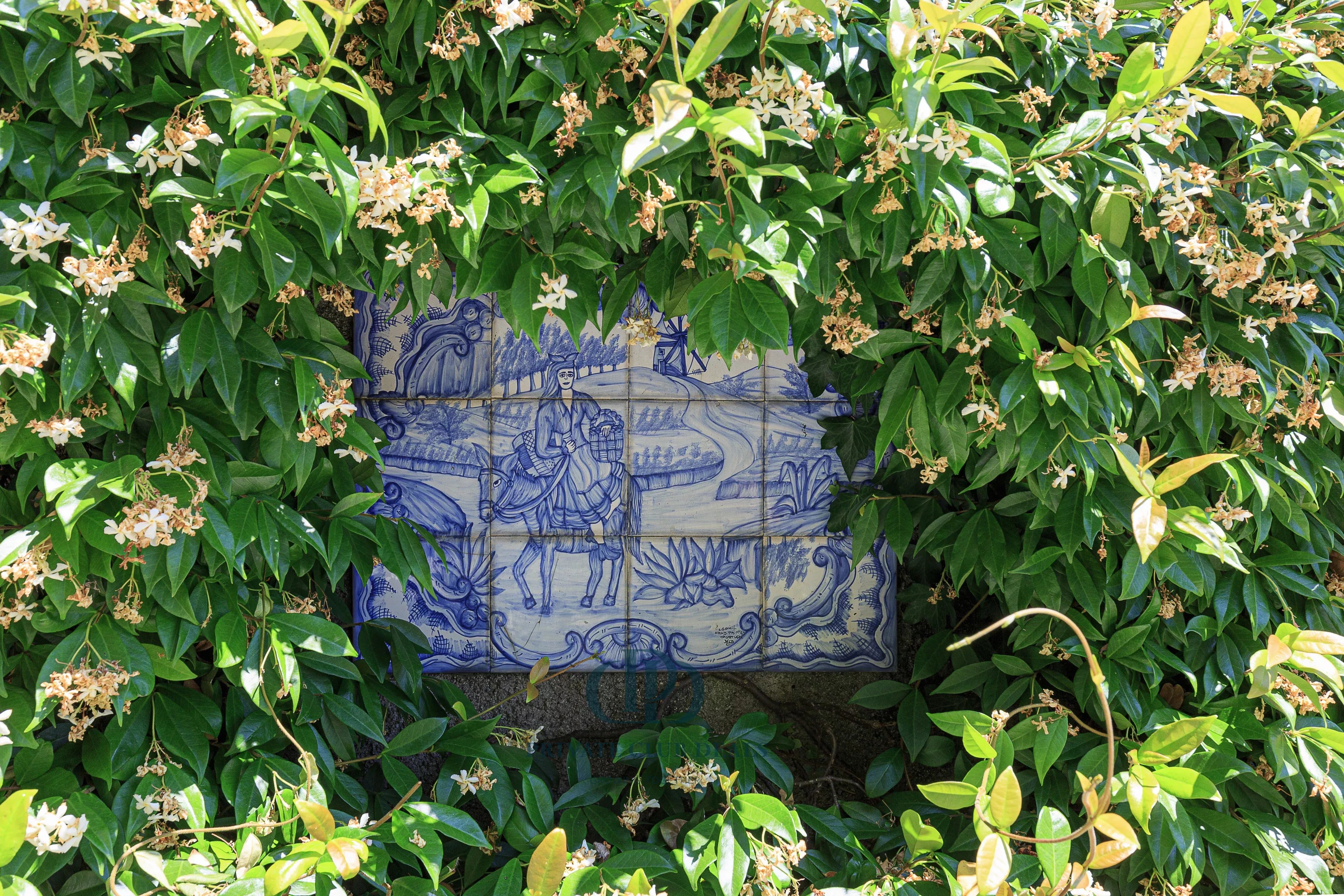 Villa Tremezzina - picture 33