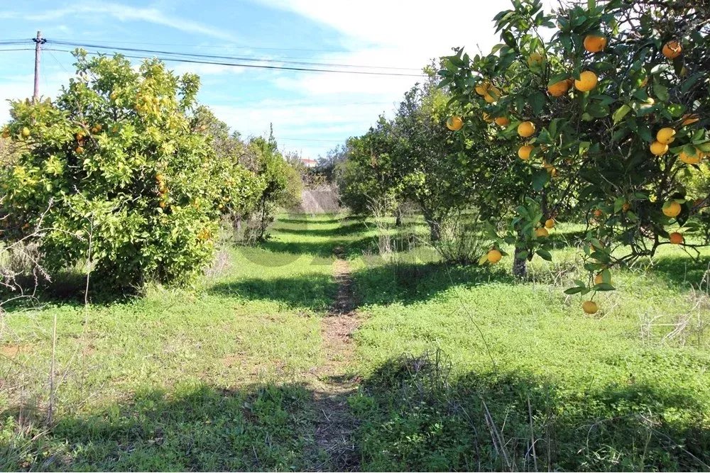 Charming Countryside Gem Near Fuseta 85948757 image 32