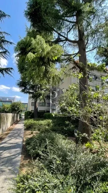 vente-appartement-2-pieces-sceaux-83879143