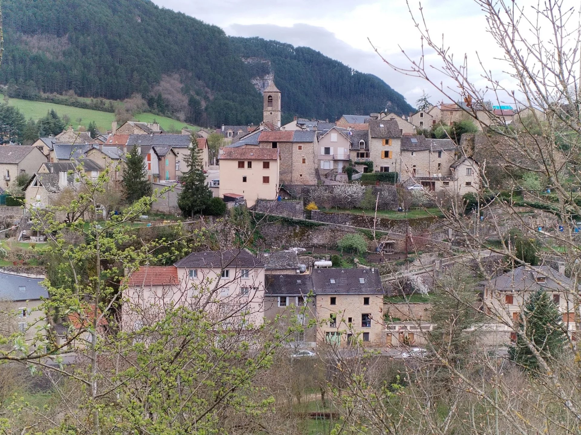 Vente Ensemble immobilier Chanac