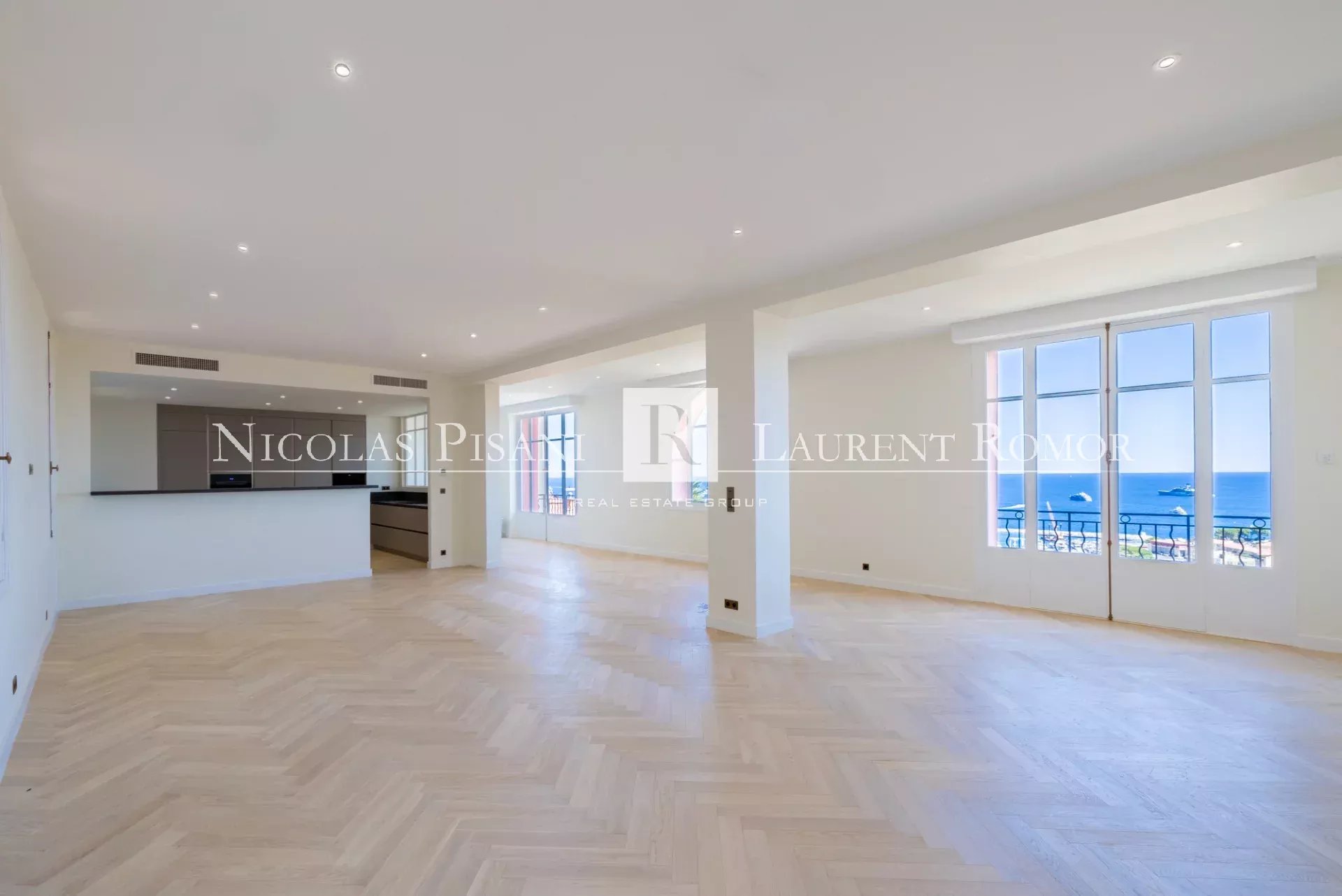 Agence immobilière de Nicolas Pisani & Laurent Romor