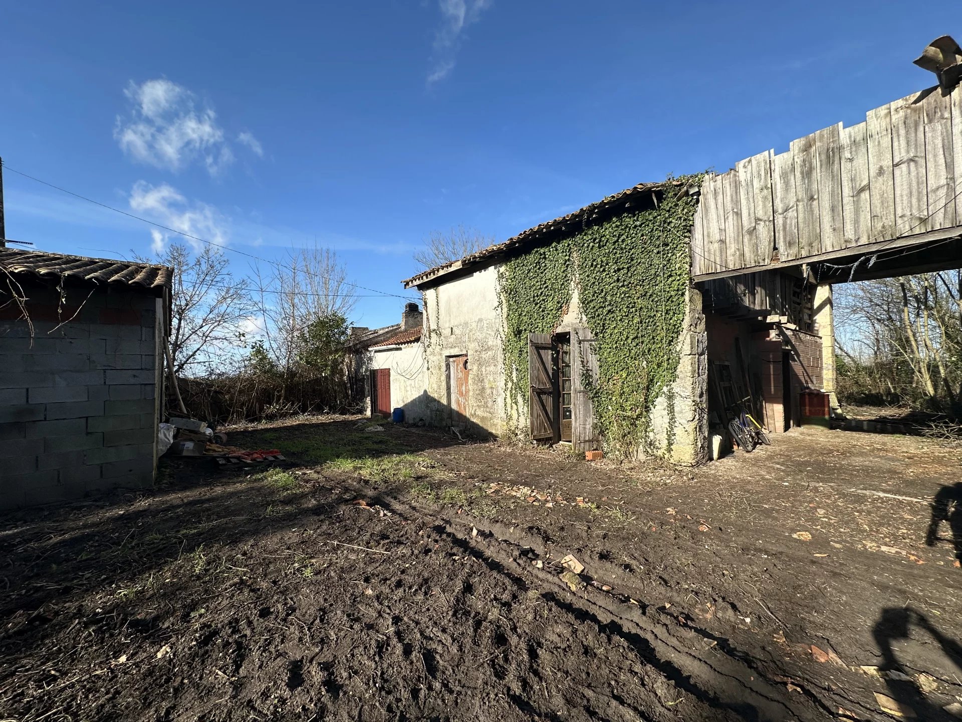 Agence immobilière de ROSER BEATRICE