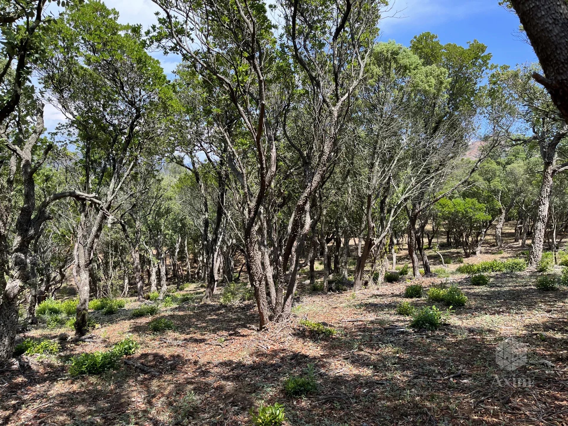 Terrain non constructible Massif de l'Esterel