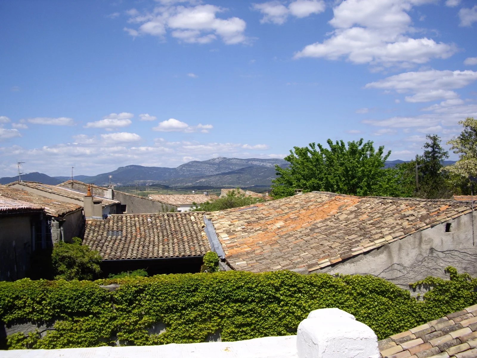 Location Appartement Saint-André-de-Sangonis