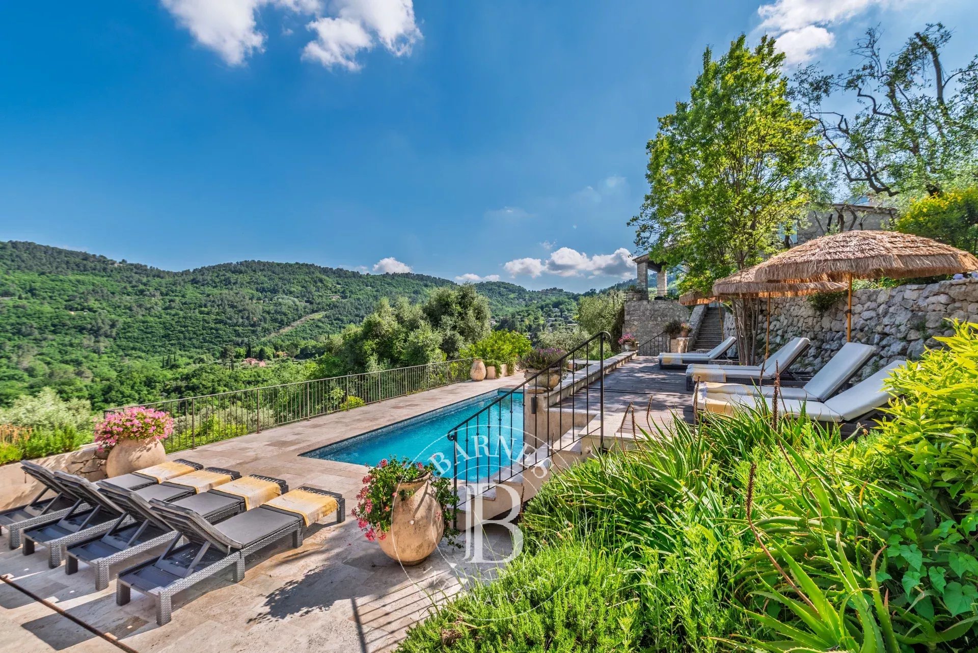 Villa Le Bar-sur-Loup  -  ref 85903695 (picture 3)