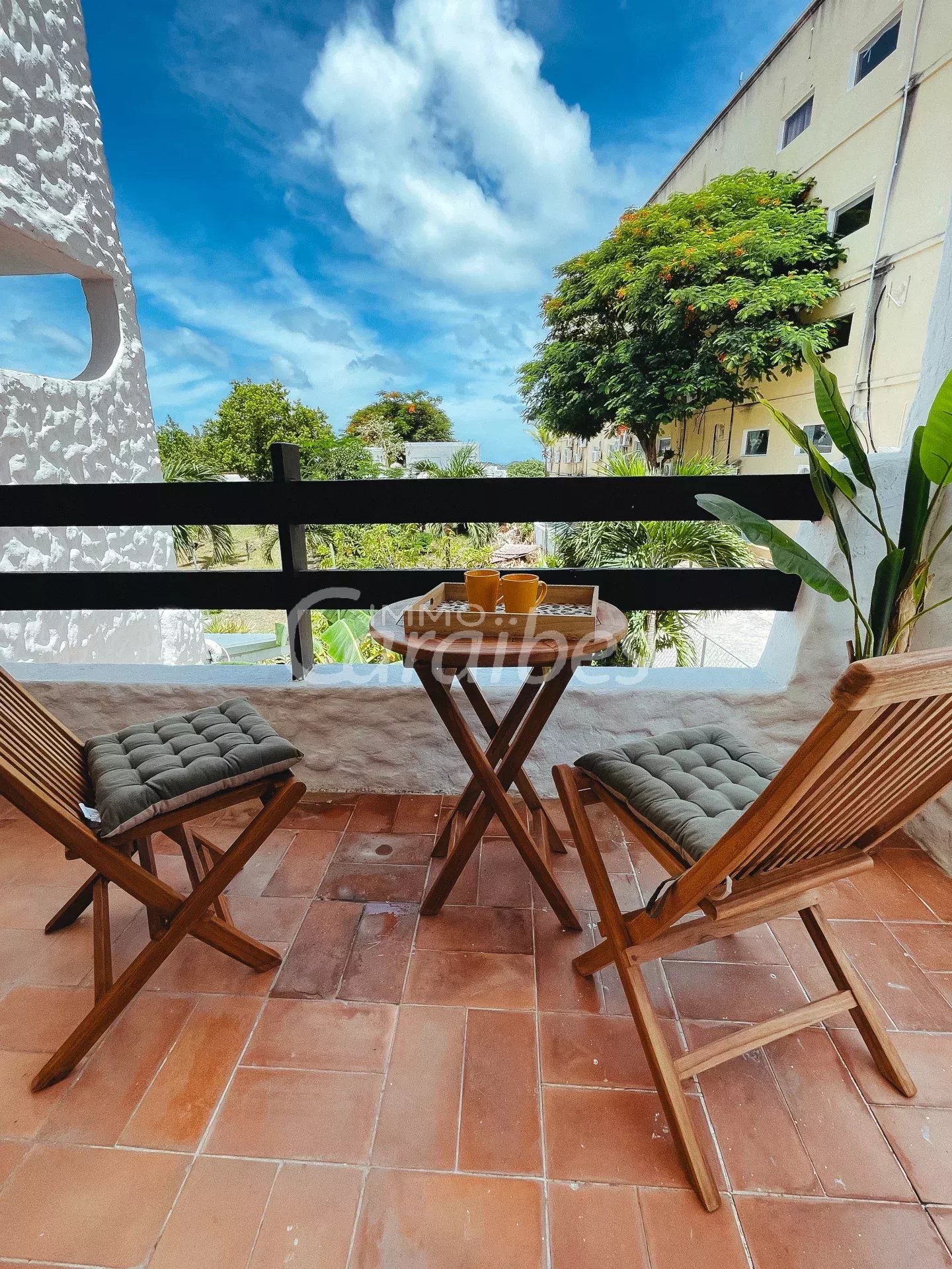 Agence immobilière de Immo Caraïbes