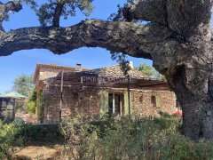 Luxury Stone Villa for Sale in Roquebrune-sur-Argens | Family Estate — photo 5 of 7