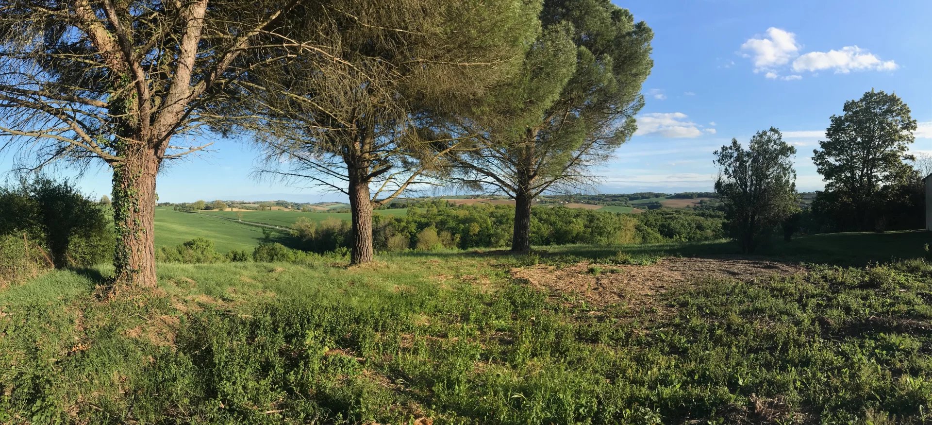 Vente Terrain Aureville