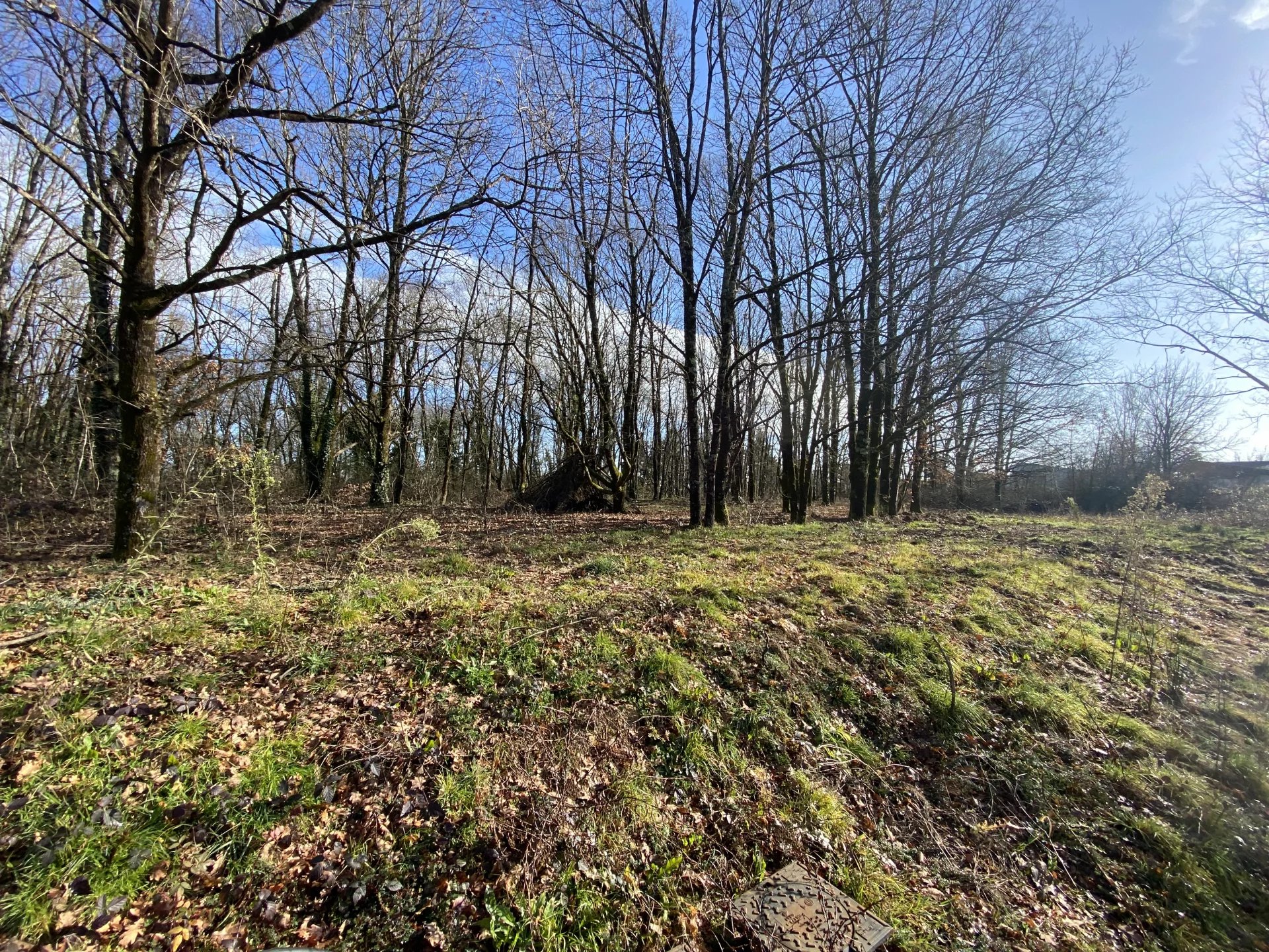 Vente Terrain constructible Montauban