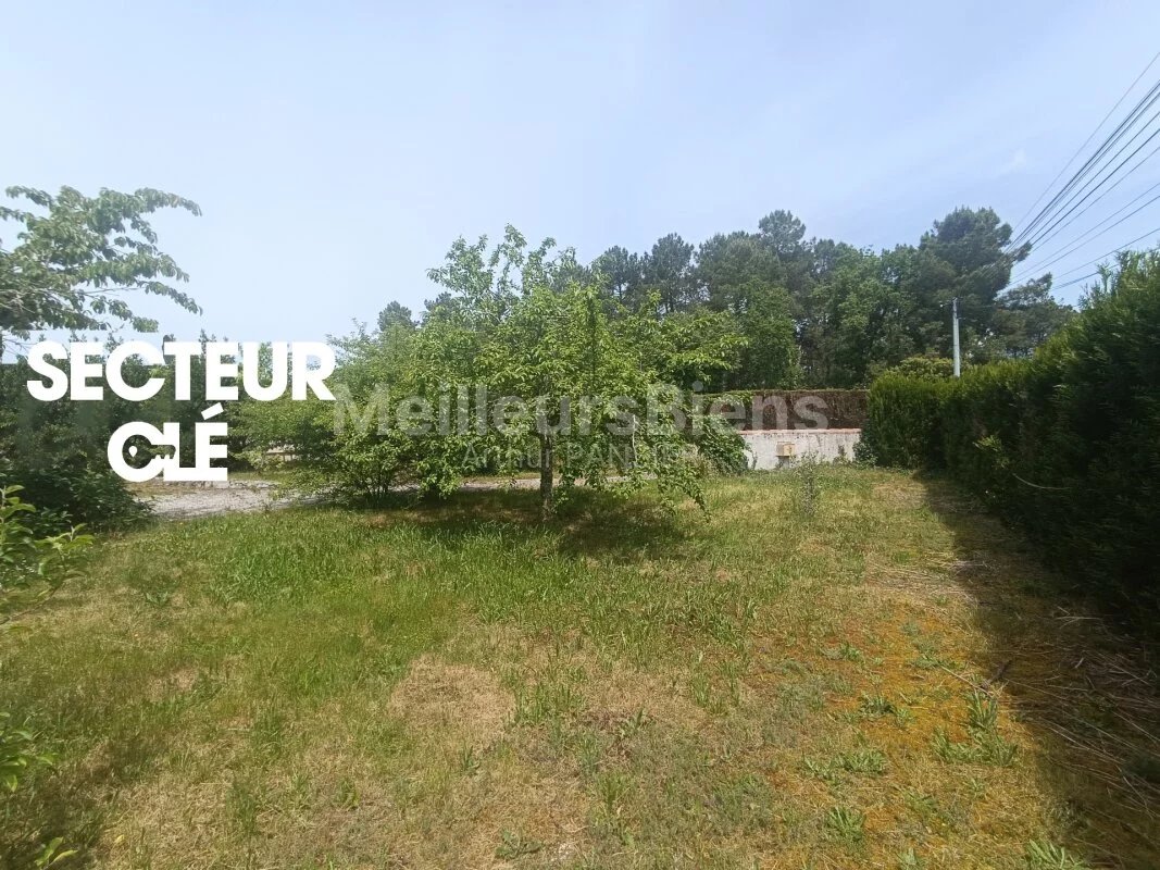Joli terrain, proche de la forêt