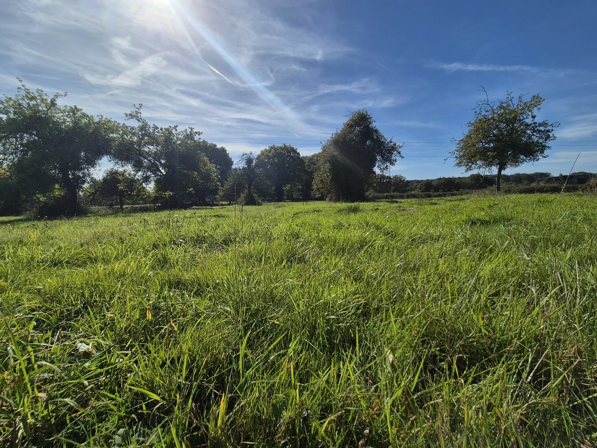 Vente Maison Ruillé-le-Gravelais