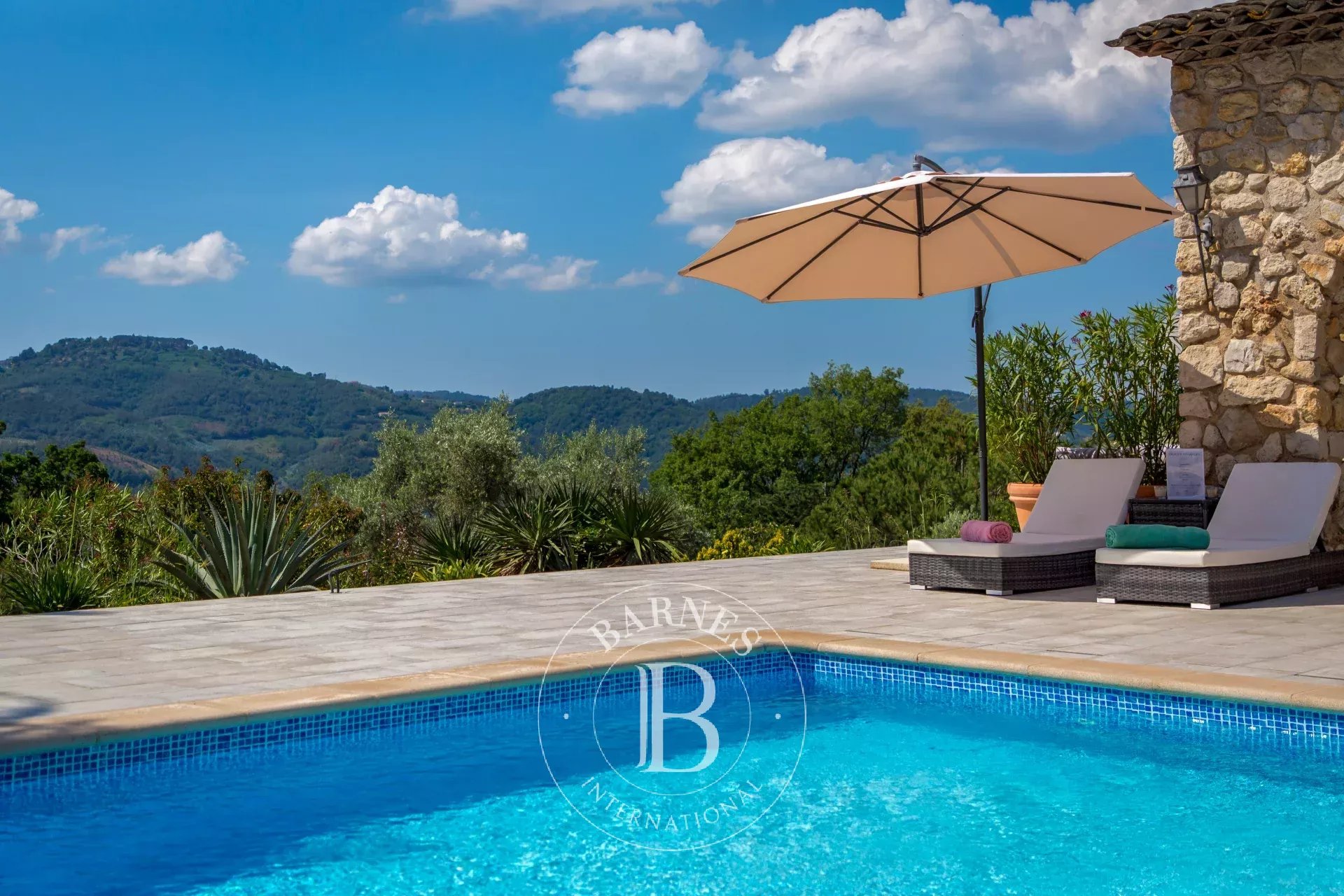 Villa Peymeinade  -  ref 85954927 (picture 2)