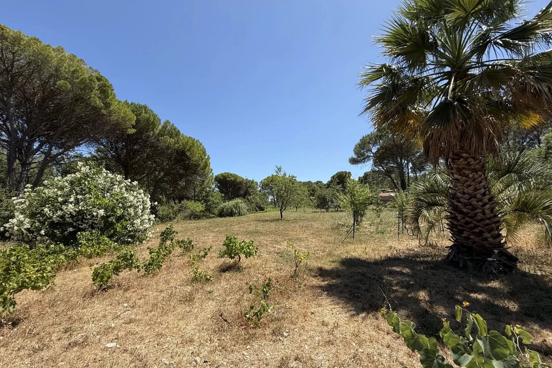 Spacious villa with pool - Fayence