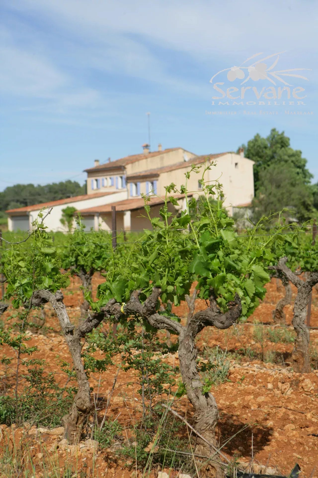 VINES PROPERTY FOR SALE IN COTIGNAC