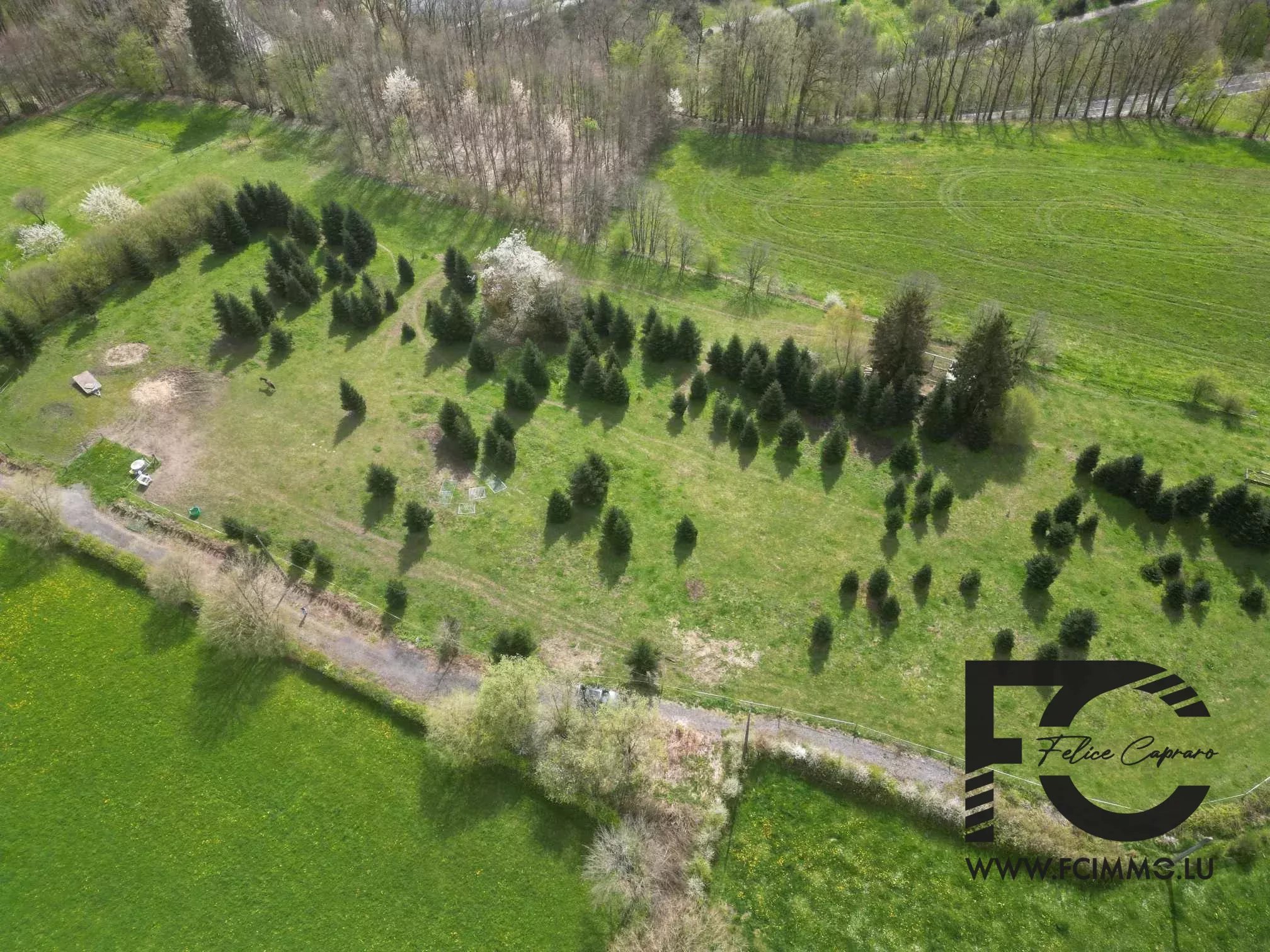 Vente Terrain constructible Neufchâteau