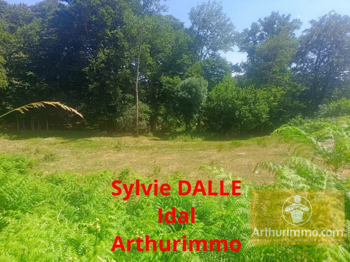 Vente Terrain Saint-Laurent-de-Muret