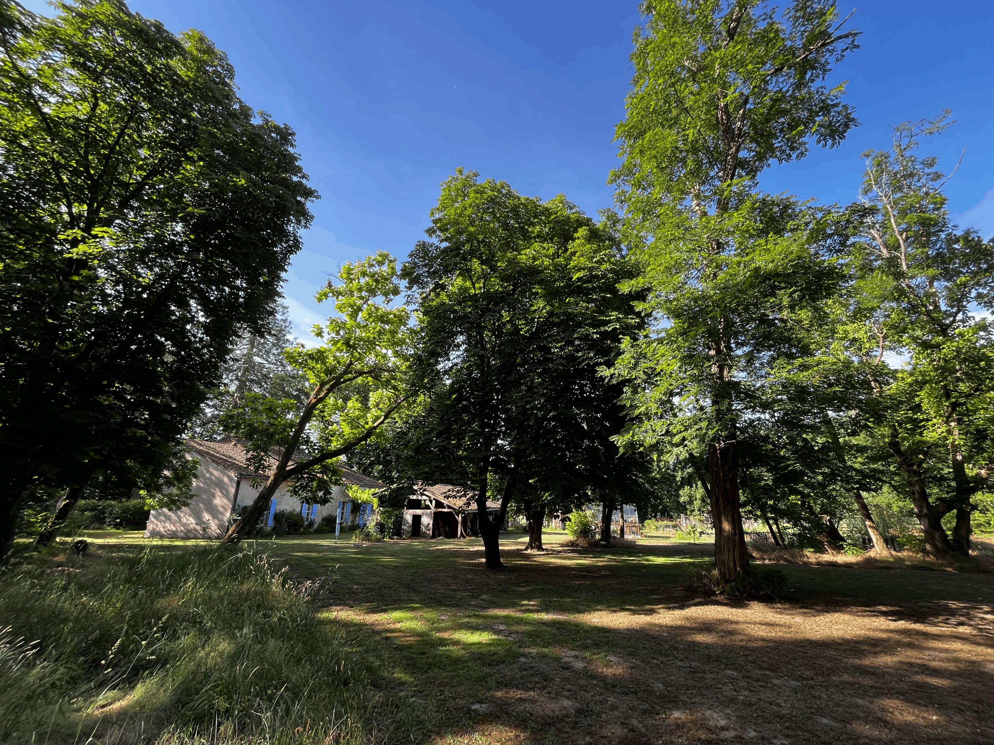 Dorpswoning te koop Losse, Landes