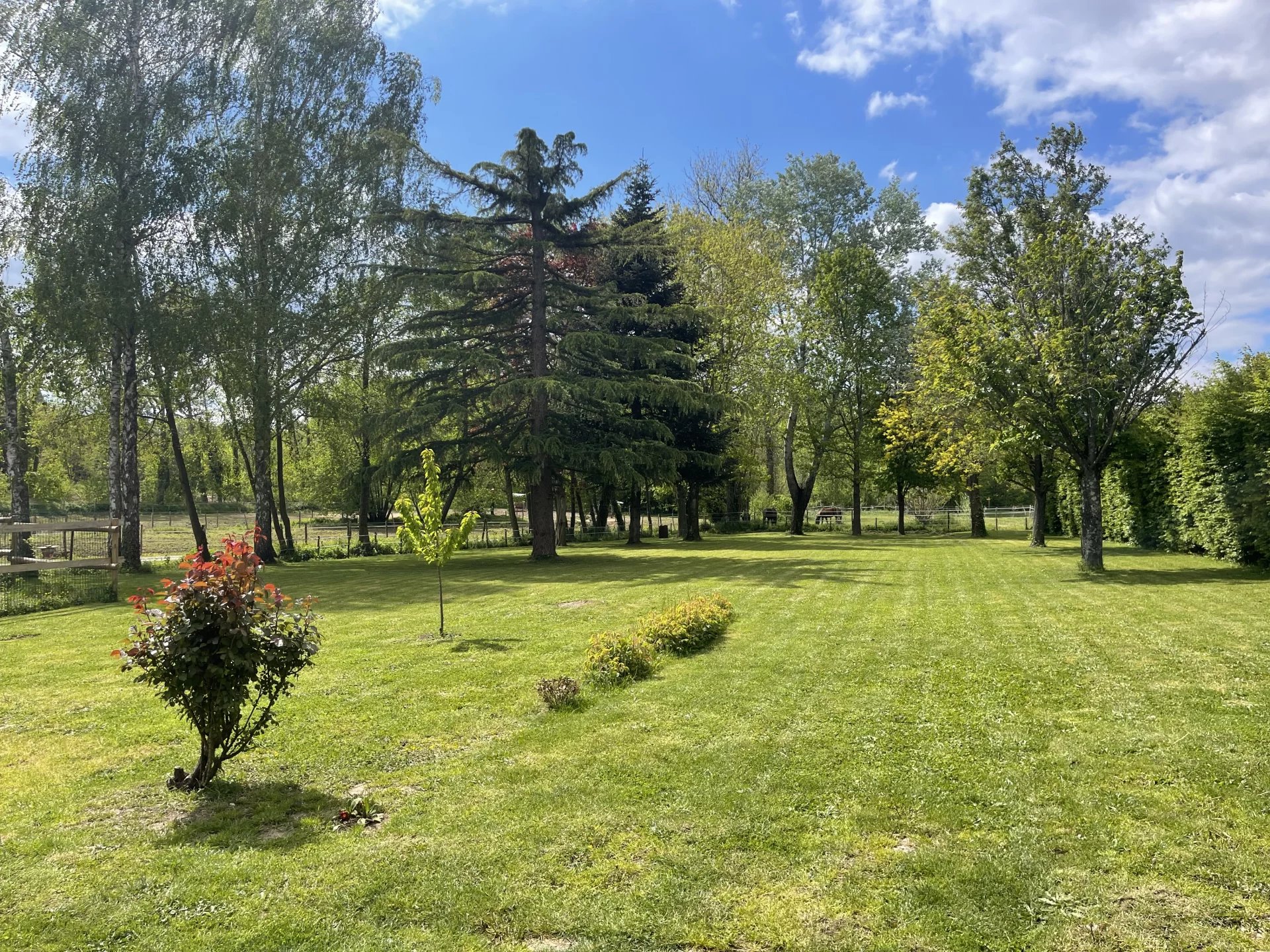 Réf. 9459 - VENTE RESERVE DROIT D'USAGE ET D'HABITATION - LANCIE en BEAUJOLAIS (69)