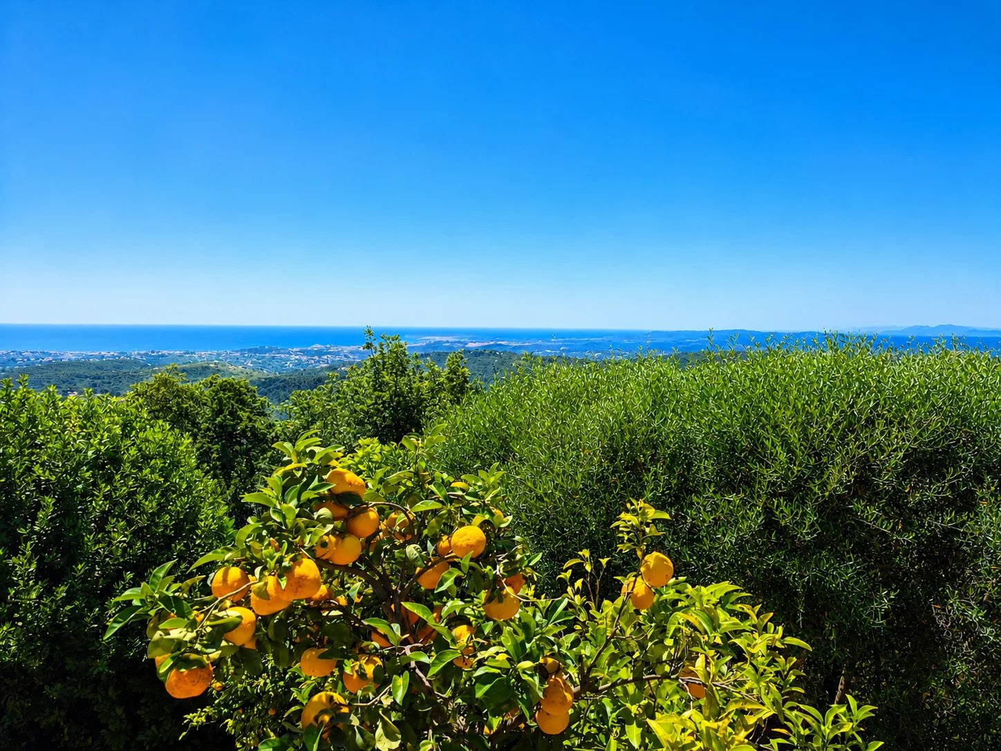 Image of Villa - 6 Bedrooms for Sale in Alpes-Maritimes-Vence-France, Image 3