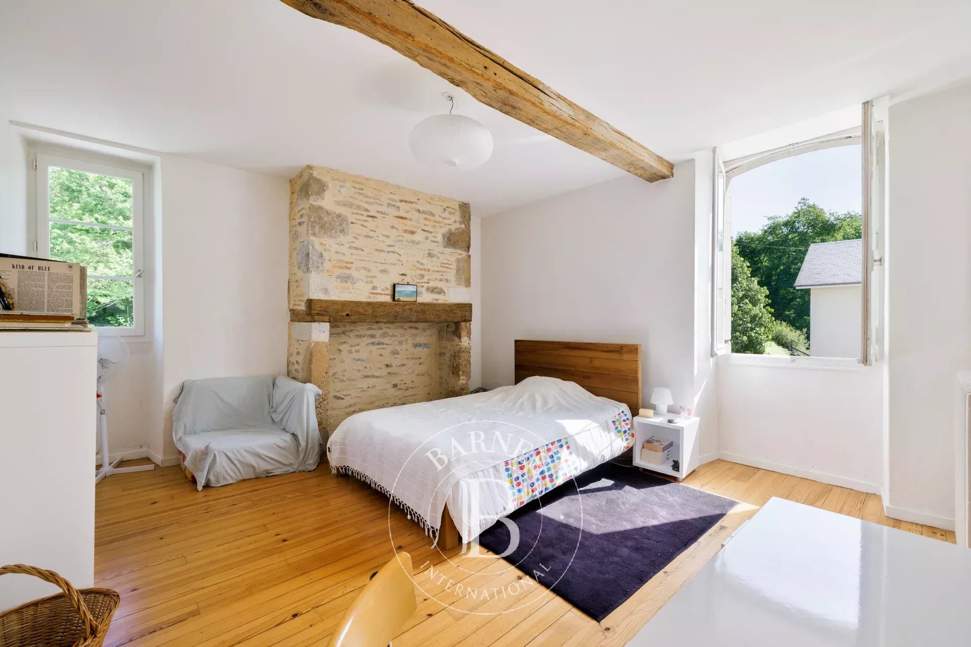 Pau  - Propriété 10 Pi&egrave;ces 8 Chambres - picture 15