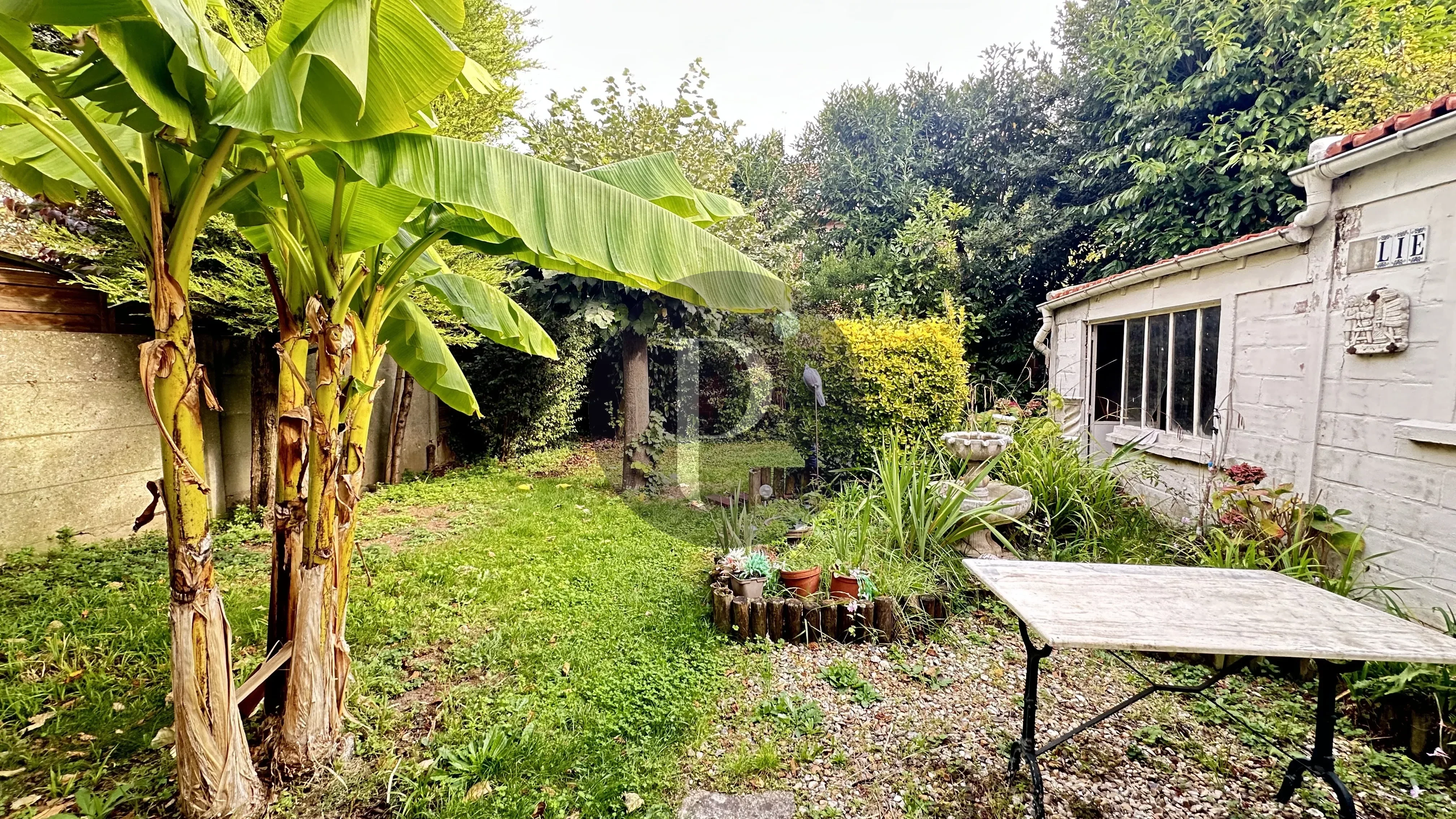 vente-maison-3-pieces-cachan-86773689