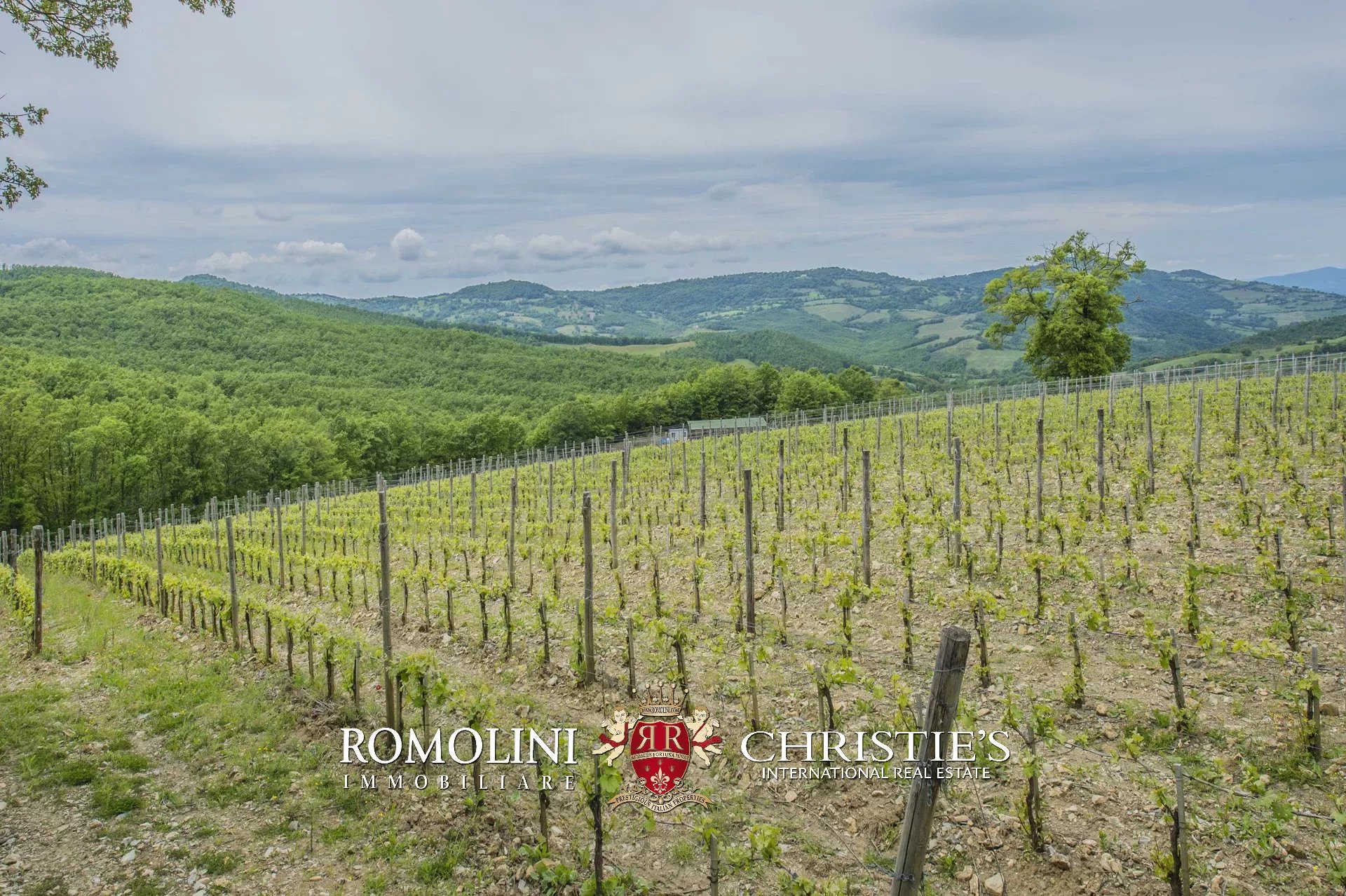 6 Bedroom Vineyard's Image 15