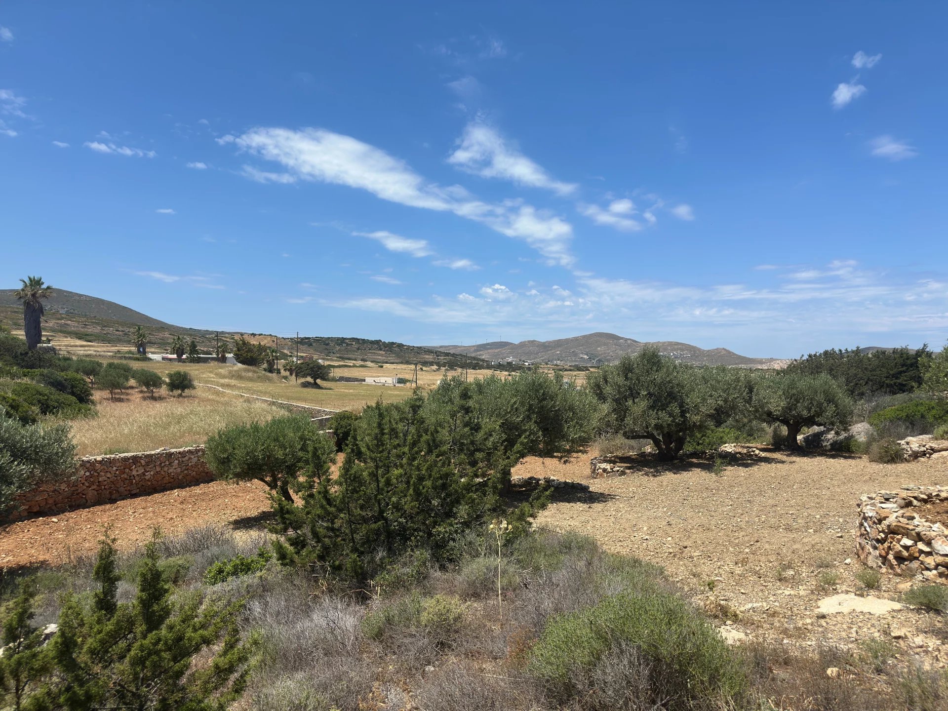 Εικόνα ιδιοκτησίας 93