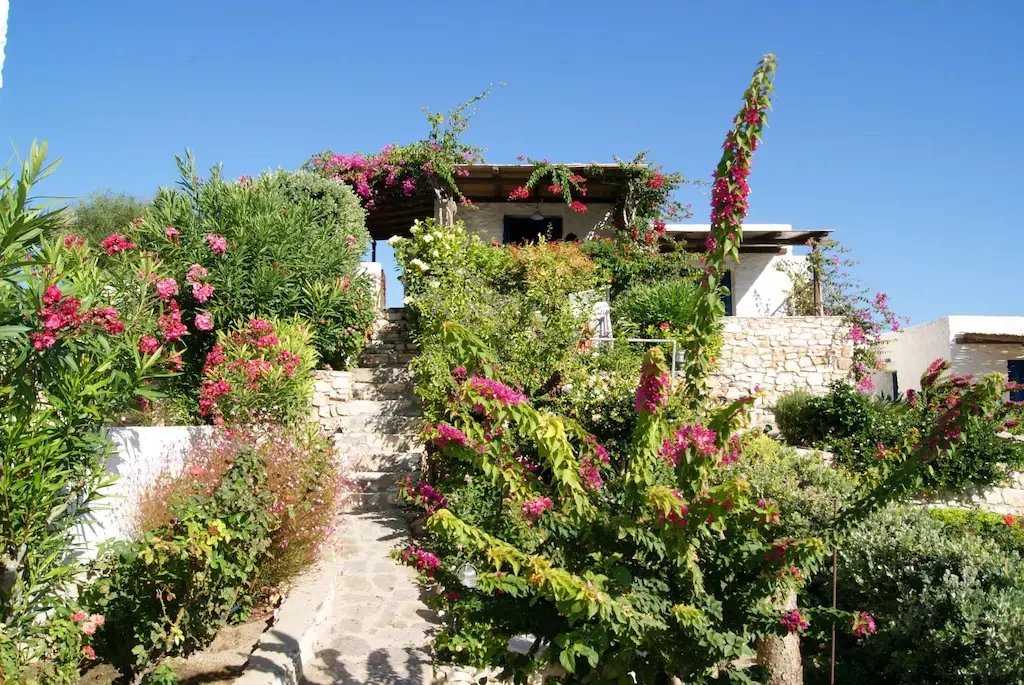 Εικόνα ιδιοκτησίας 3