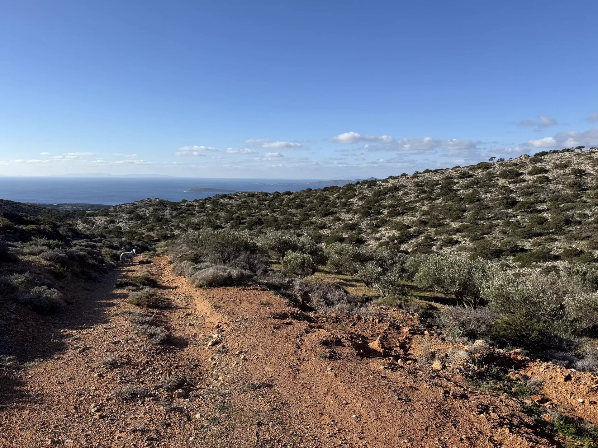 Εικόνα ιδιοκτησίας 14