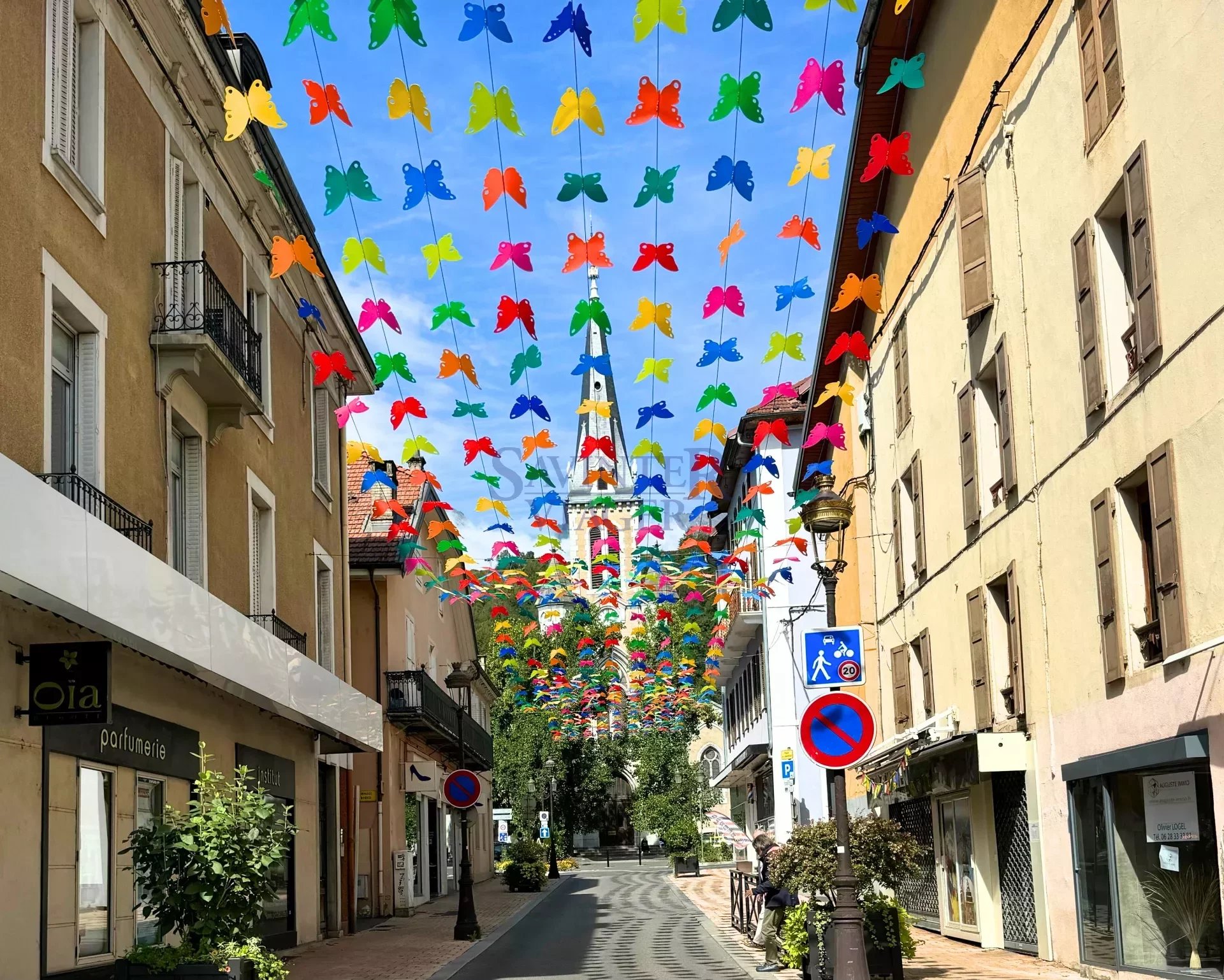 Agence immobilière de Savinter Viager