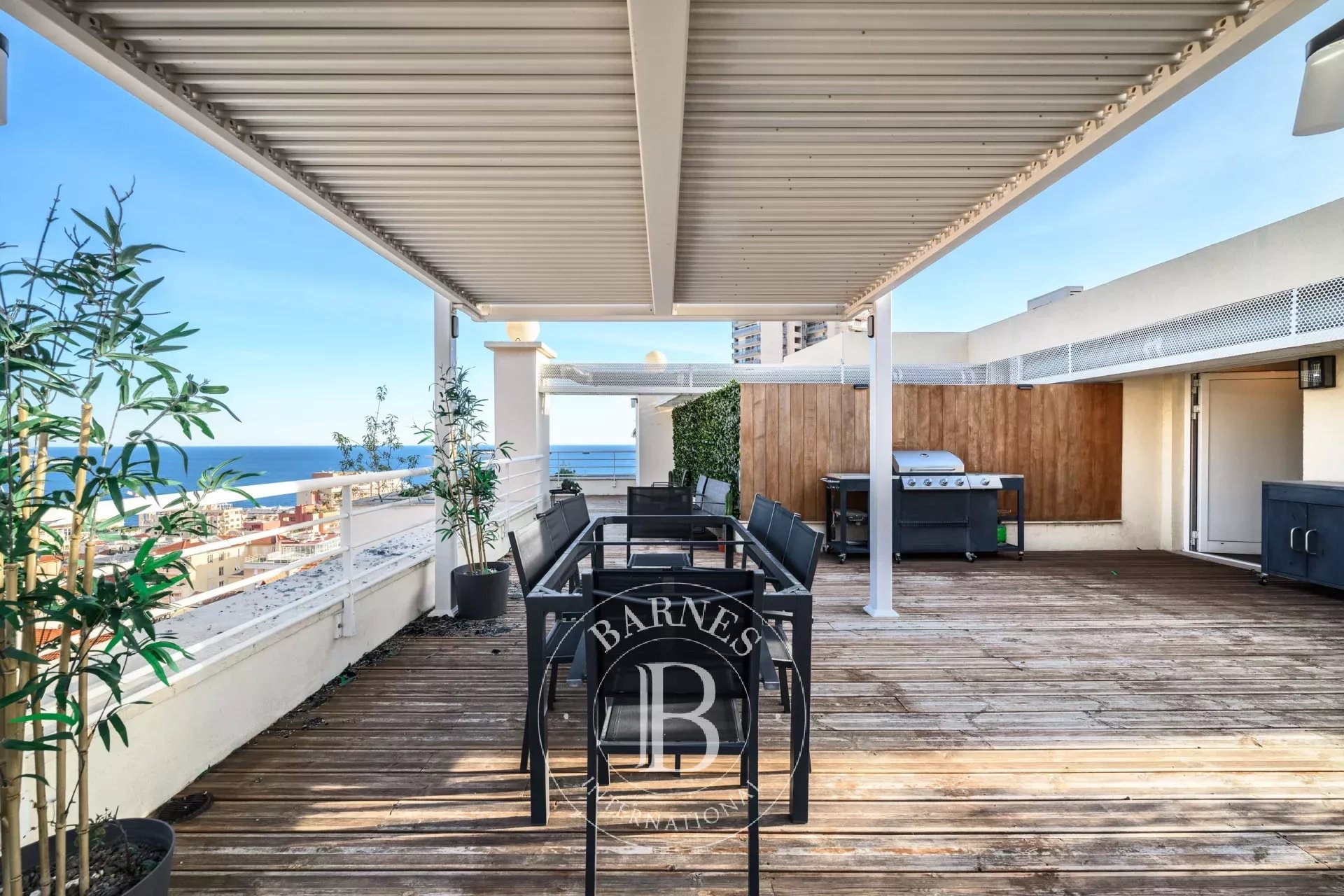 Daire Beausoleil - picture 15