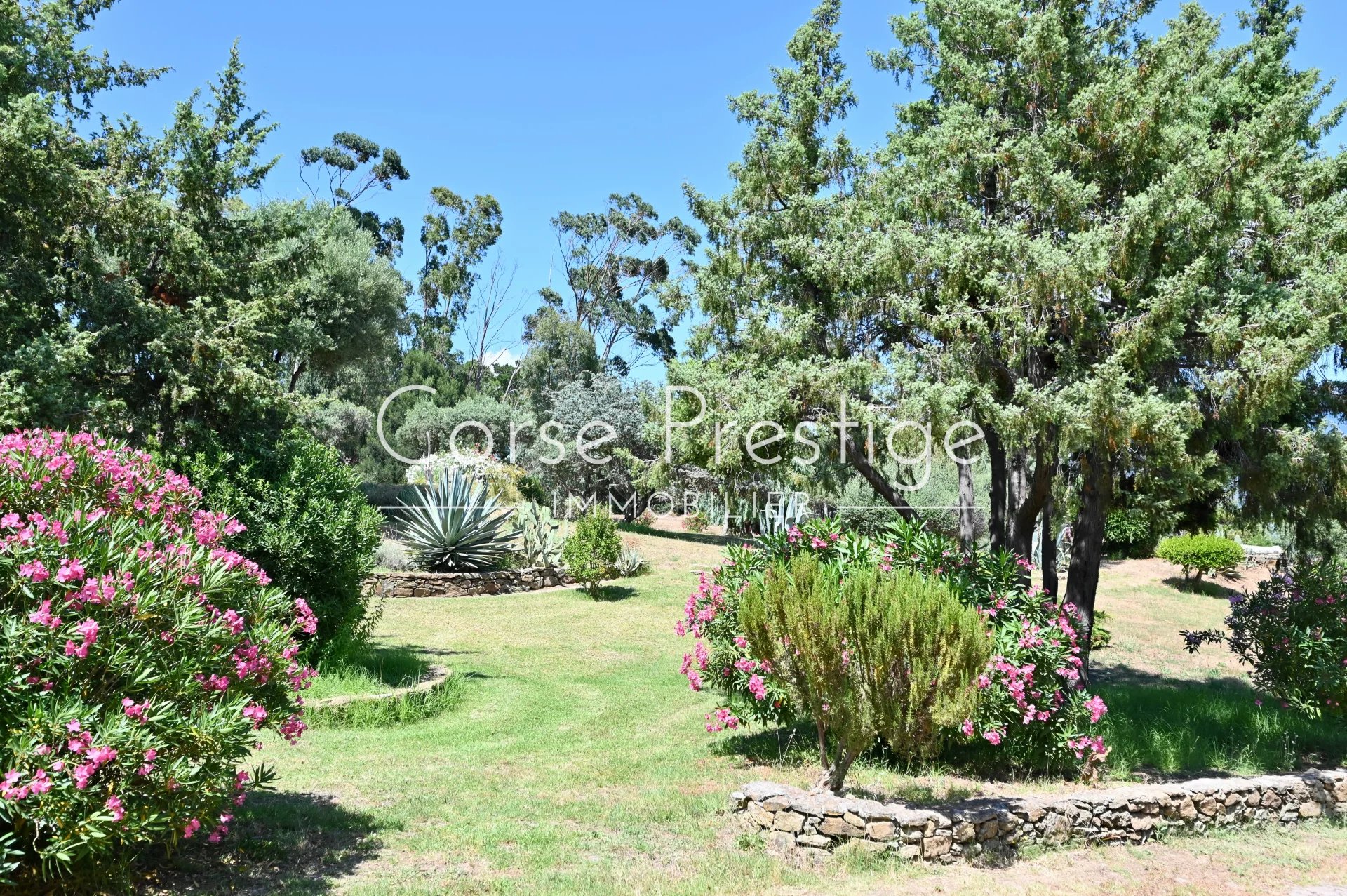 property on the waters edge with dependances - saint florent - north corsica image3