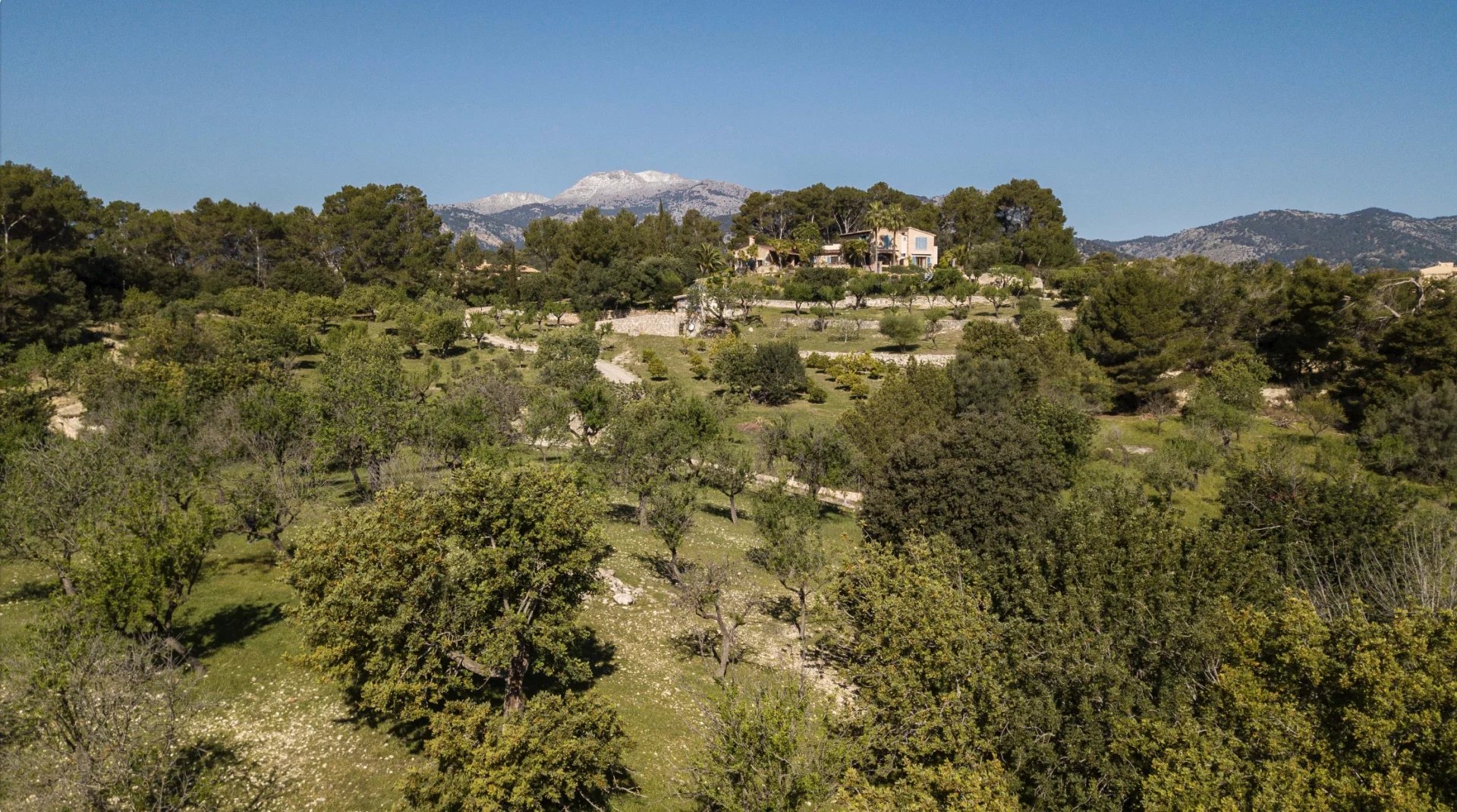 Terrain à bâtir avec licence et projet à vendre à Moscari Mallorca