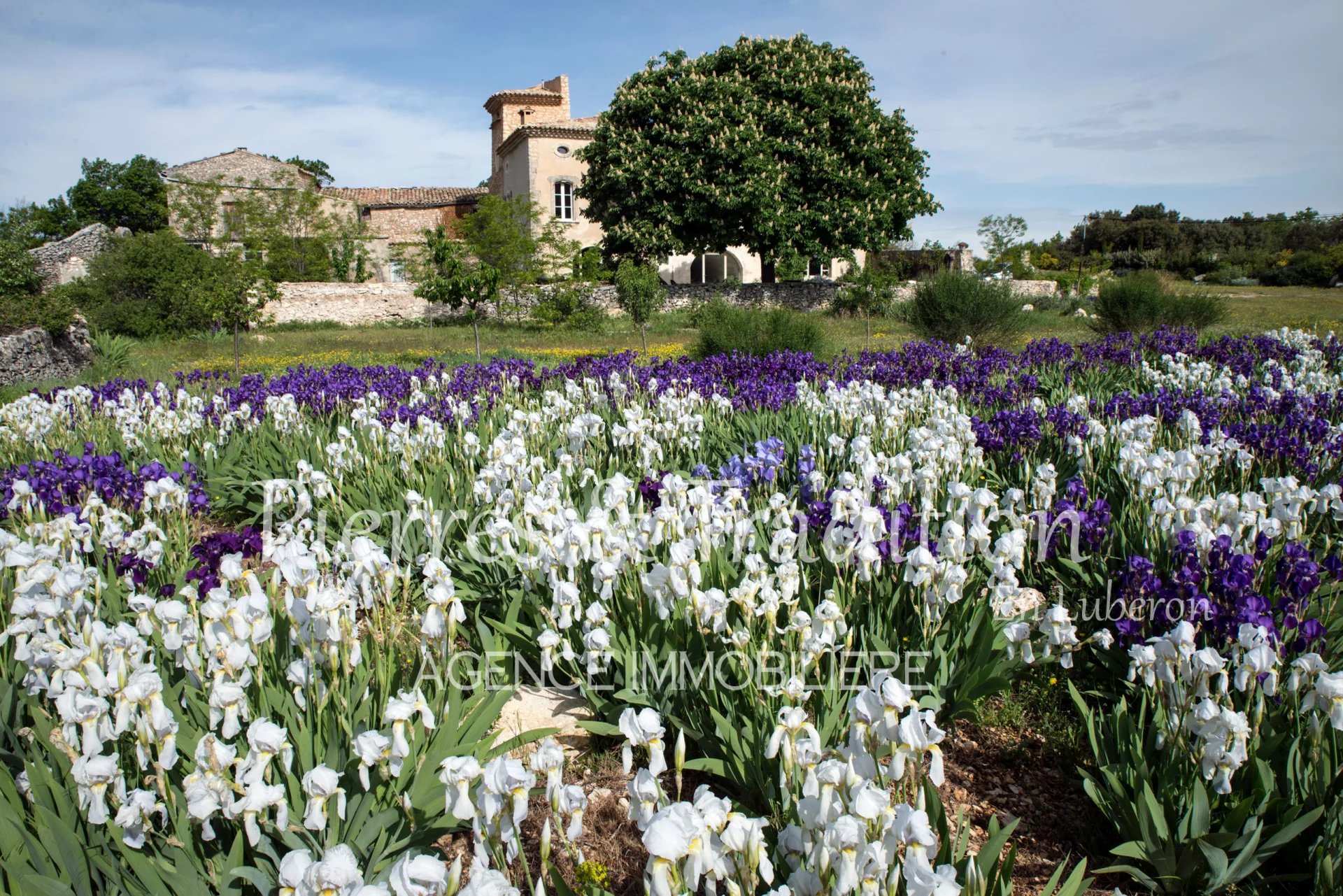 Agence immobilière de Pierres et Tradition en Luberon Apt