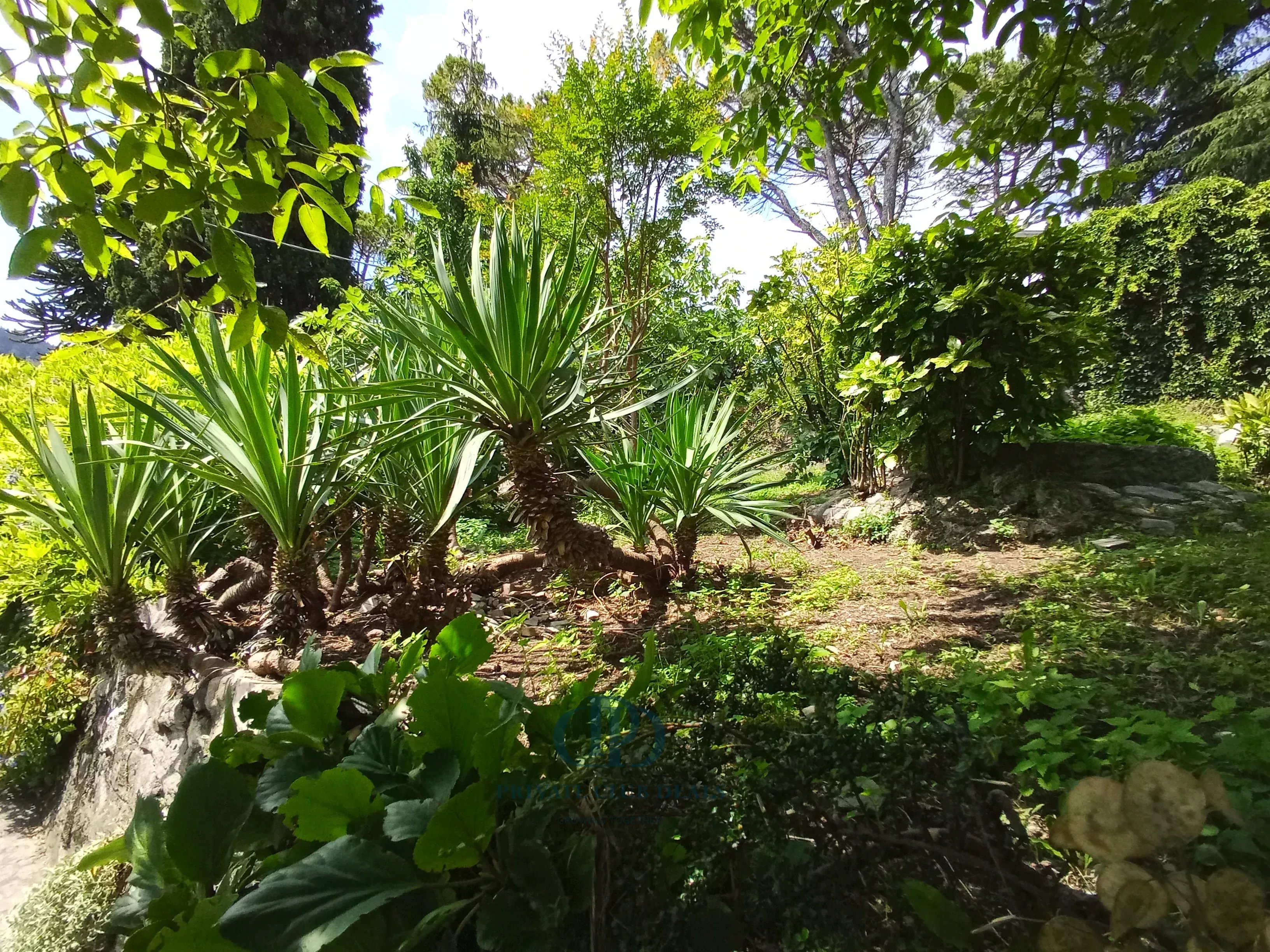 Villa Centro Valle Intelvi - picture 10