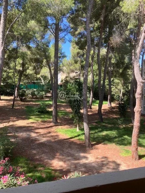 Location Appartement Marseille 8ème