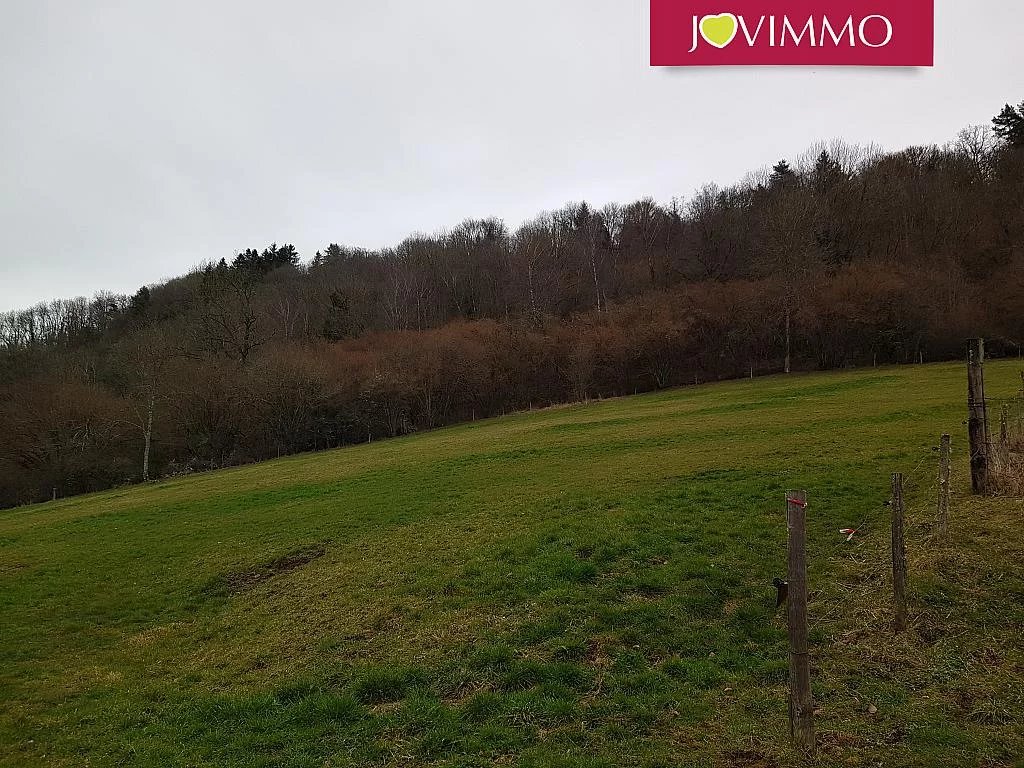 Vente Terrain Gelles