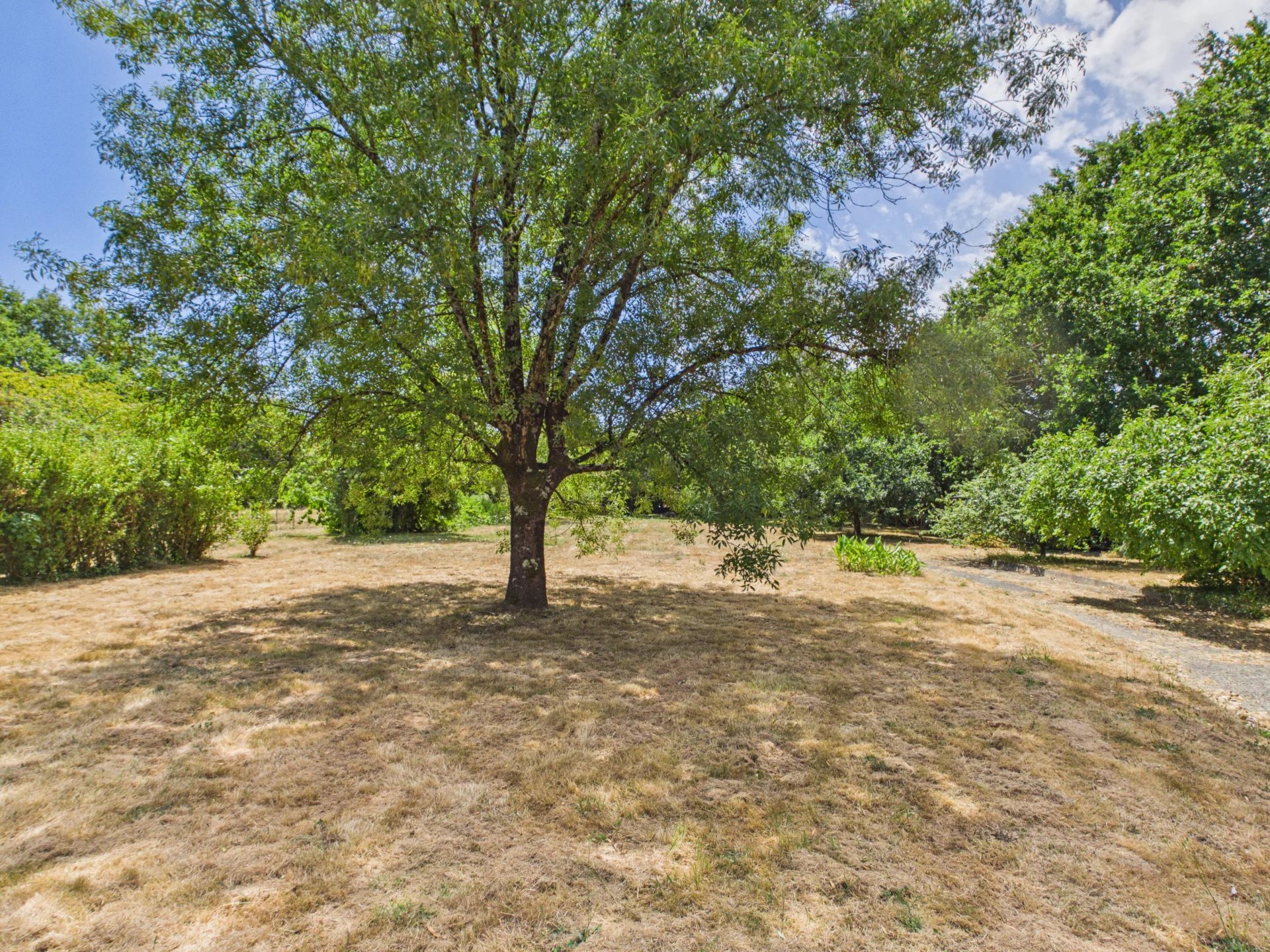 Vente Maison Vue