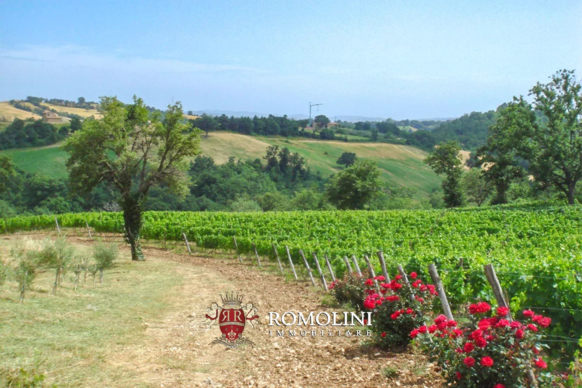8 Bedroom Vineyard's Image 3