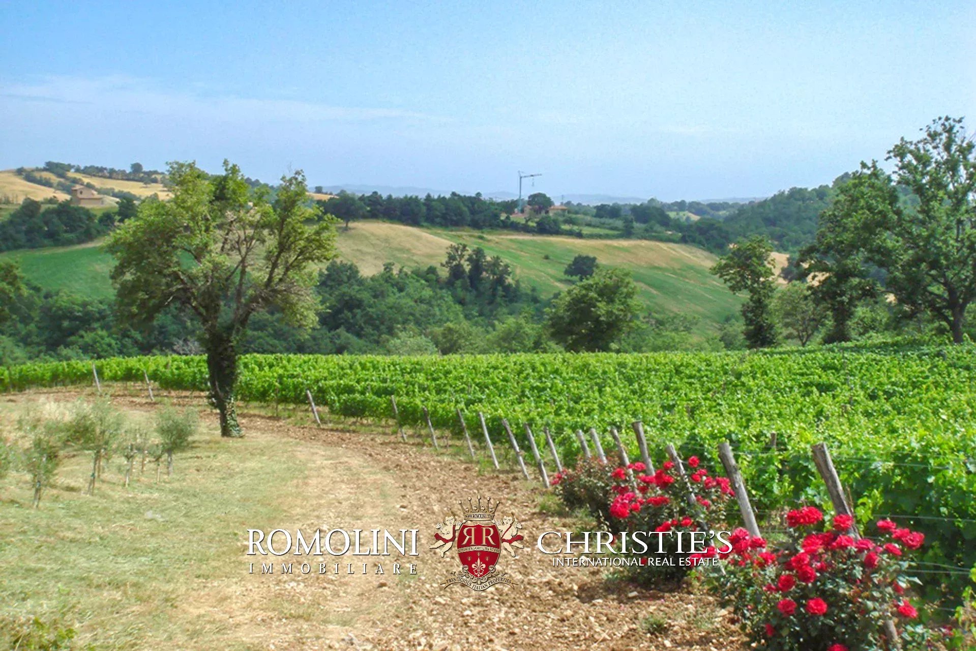 8 Bedroom Vineyard's Image 3
