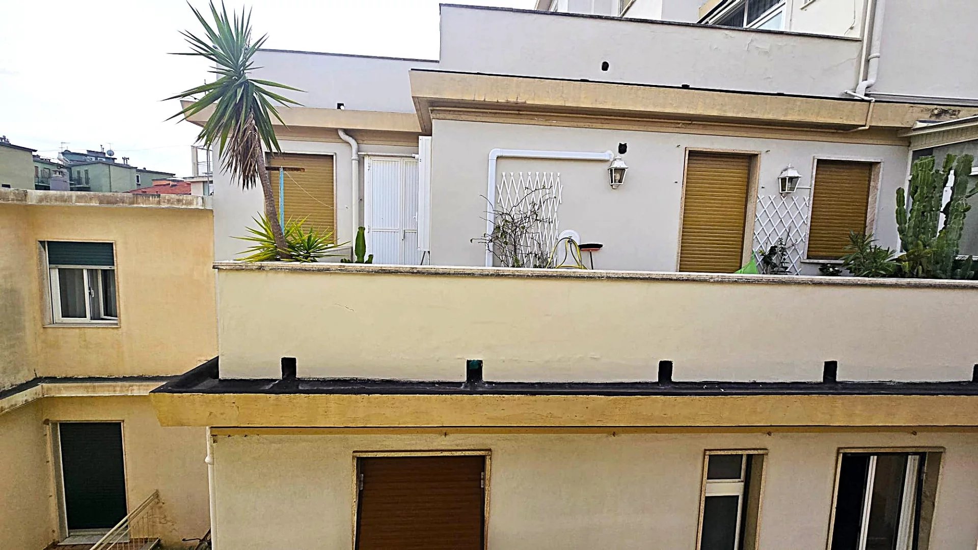 Agence immobilière de Royal House