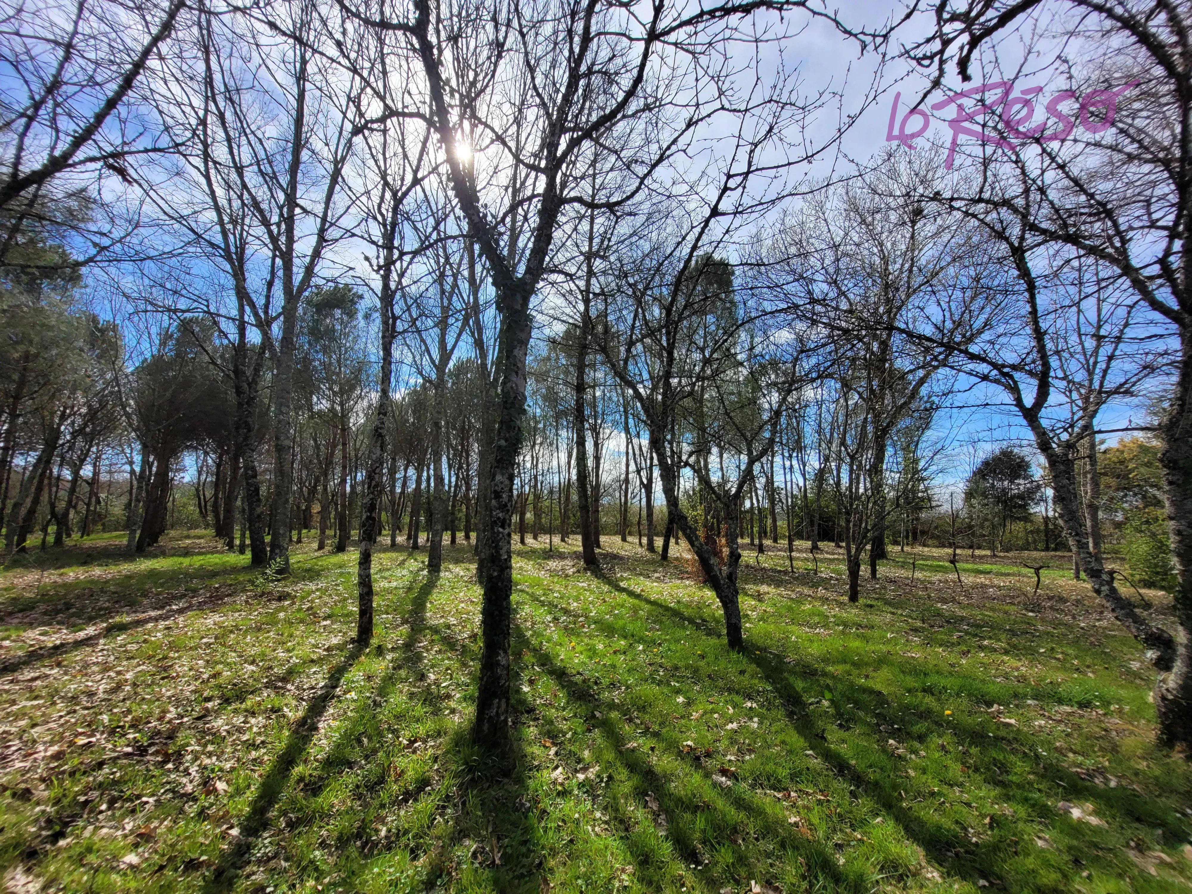 Propriété de charme sur 2 hectares, à Lannepax (Gers, 32190) — photo 6