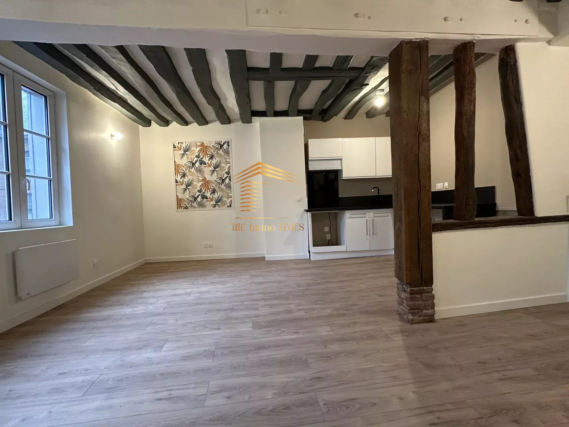 Magnifique appartement T2. Centre rive droite.