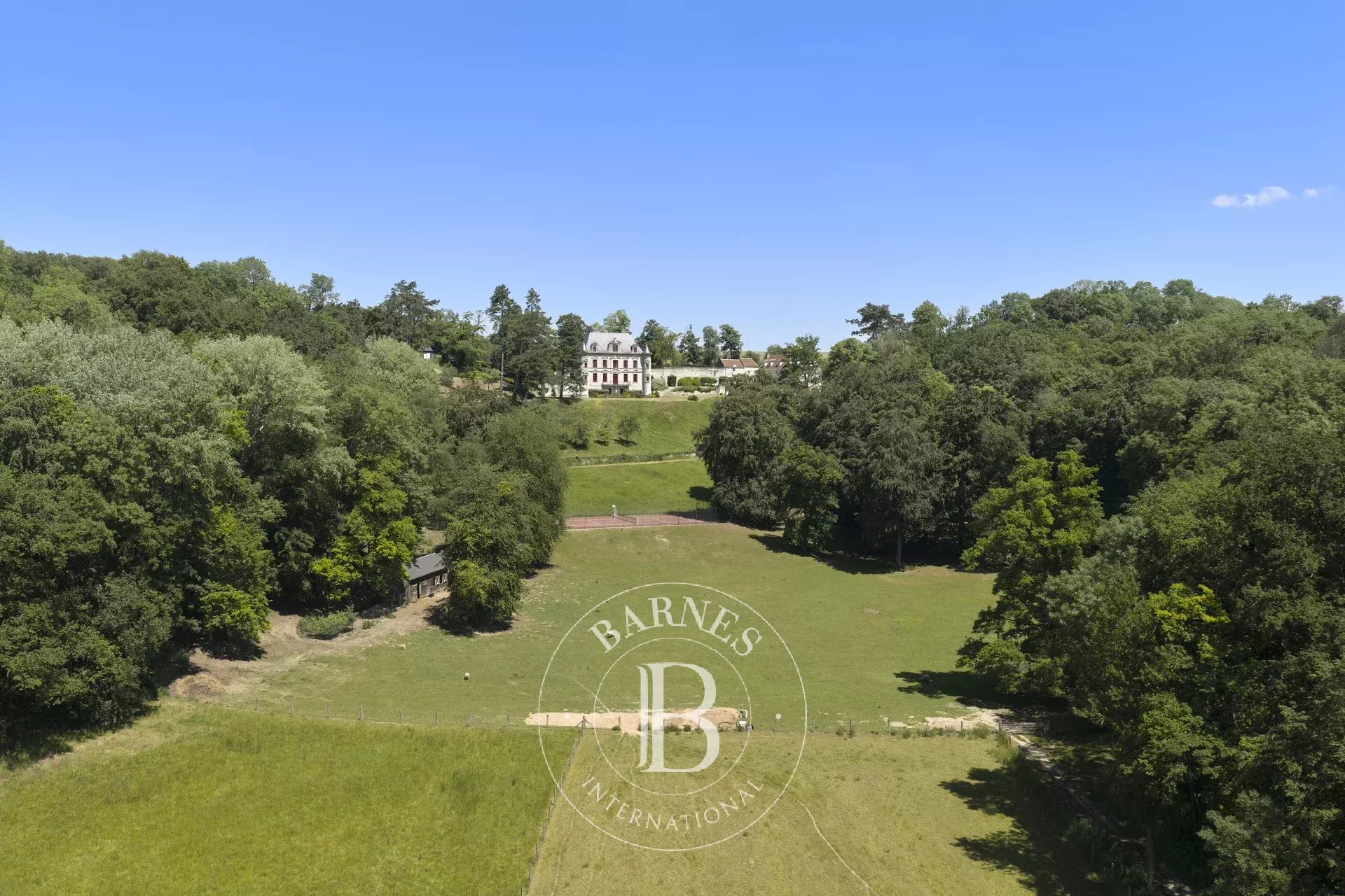 Vassens  - Château  - picture 18