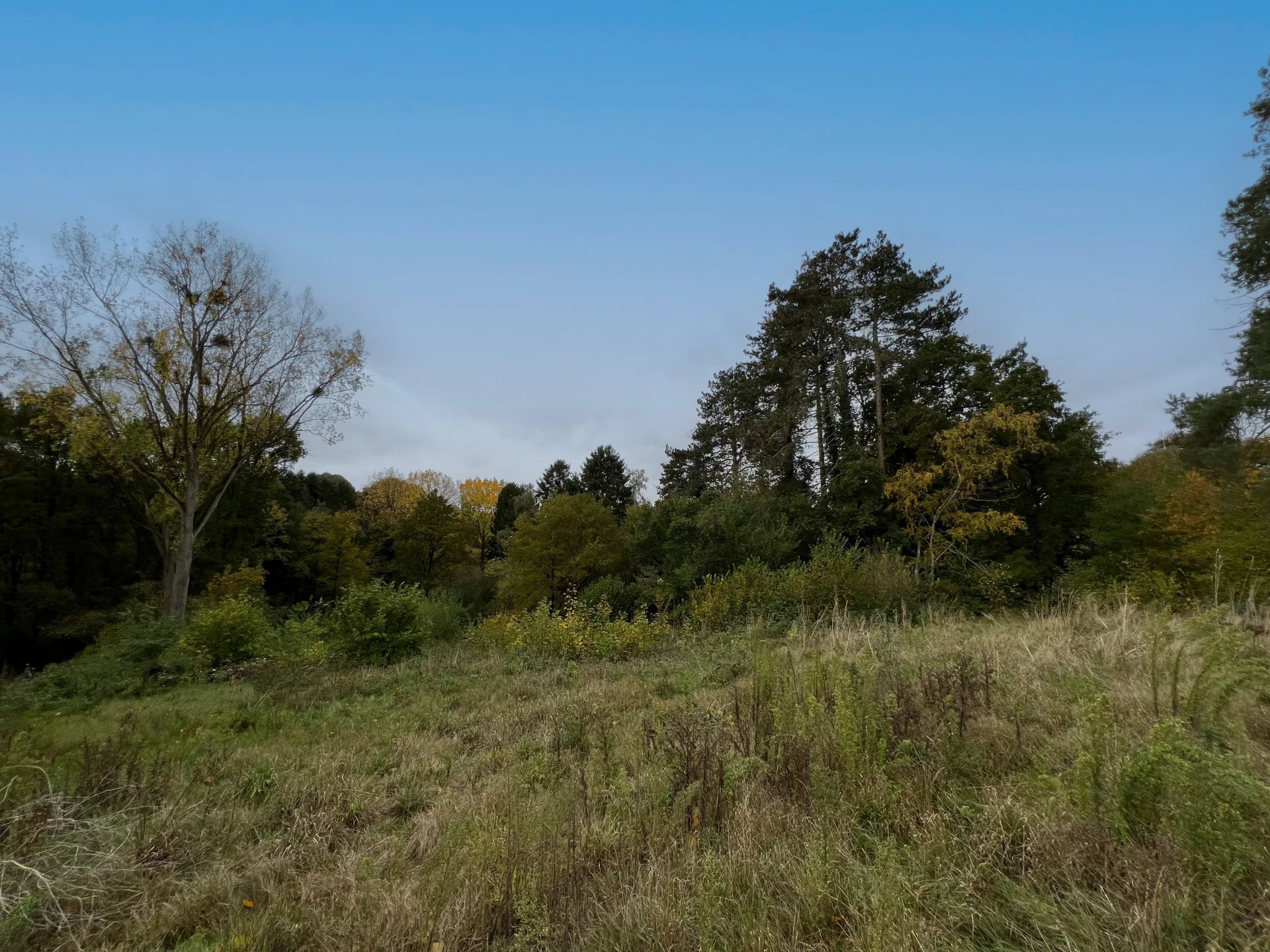 Rhode-Saint-Genèse – Terrain d’exception à bâtir