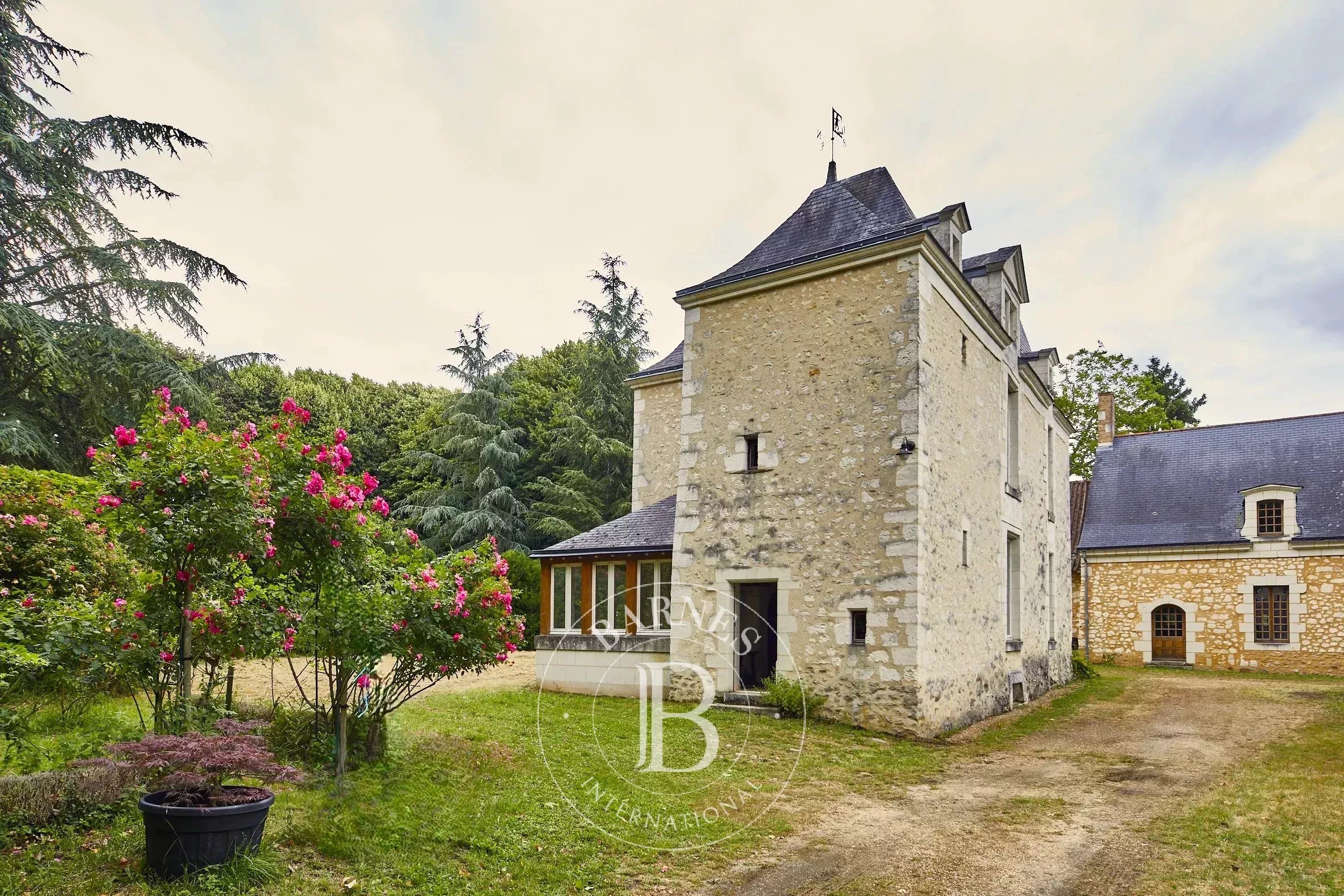 Propriété Baugé-en-Anjou  -  ref 86618807 (picture 2)